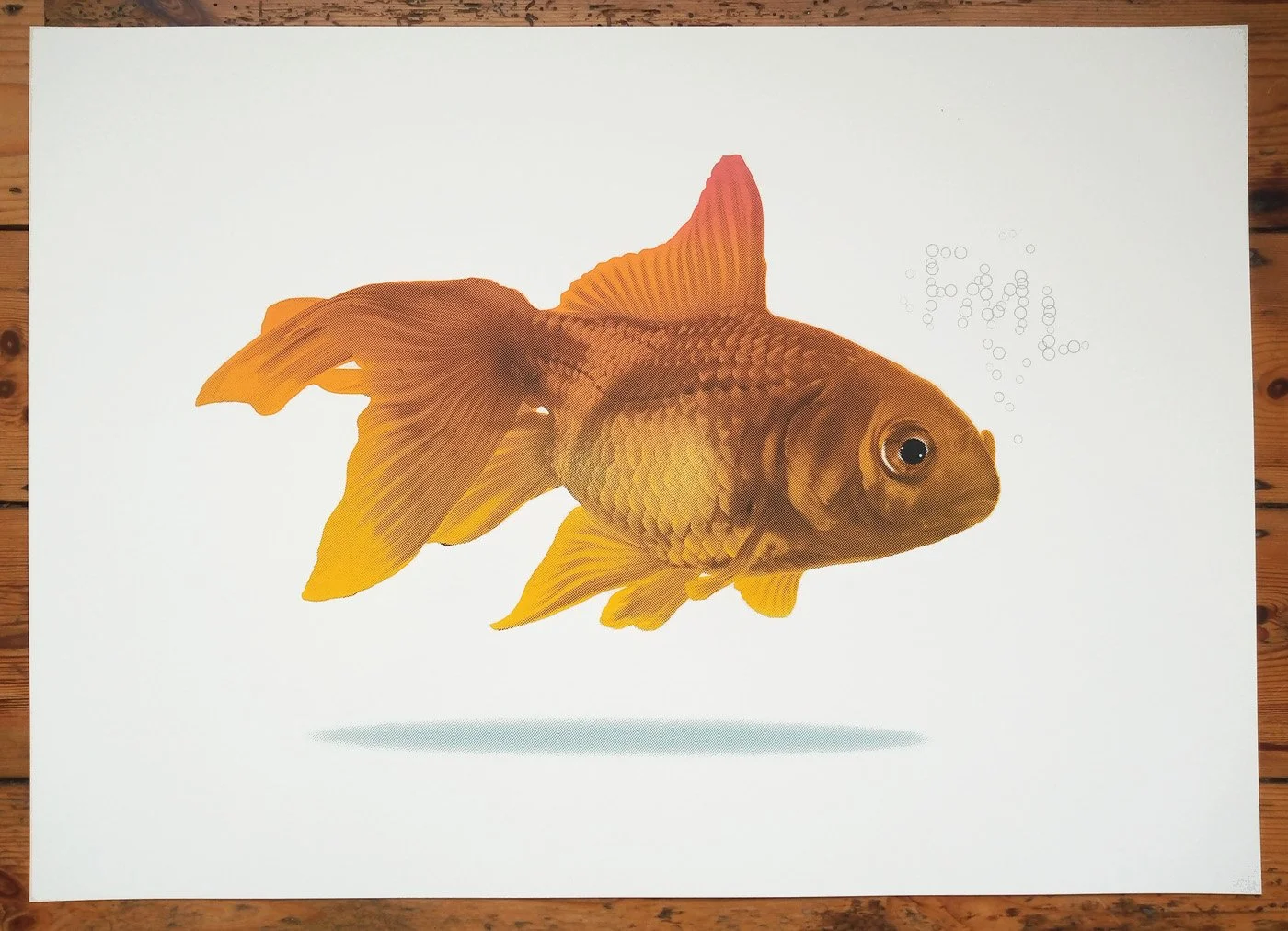 "Goldfish fml" limited edition screenprint by Richard Pendry