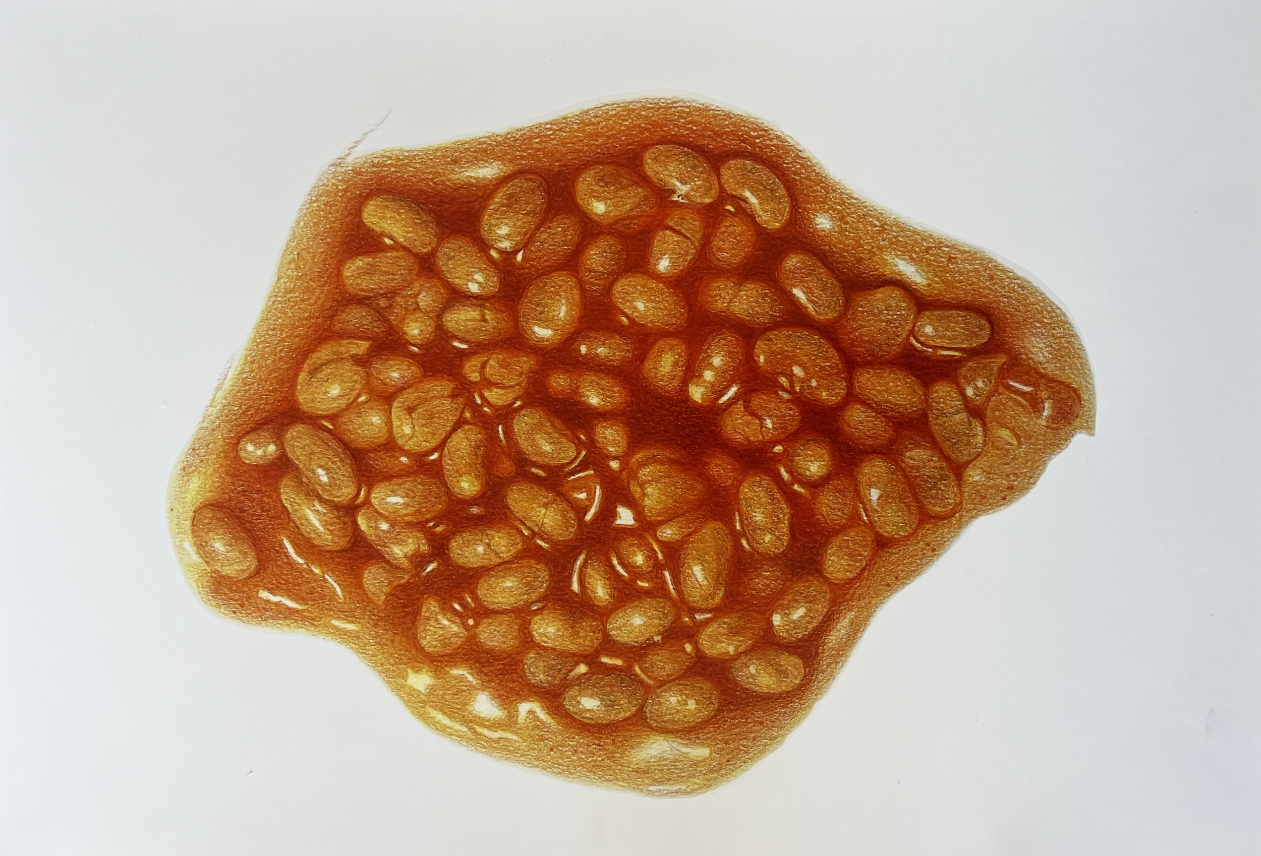 "Beans" Giclee print by Sarah Evans