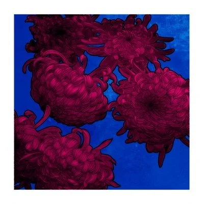 "The Colourful Realm" screenprint by Graphic Rewilding