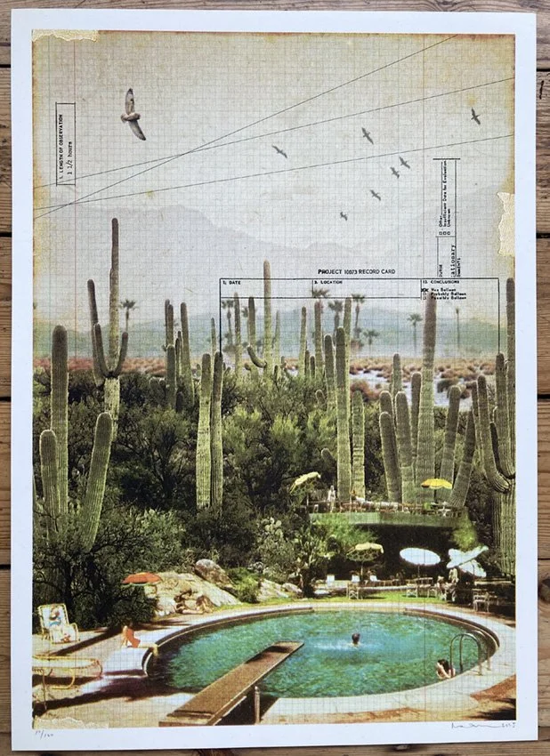 GM_footofthecacti_01 (4).jpg