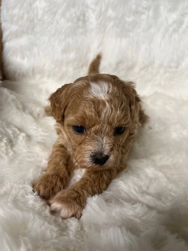 Reserved for the Martin Family! 