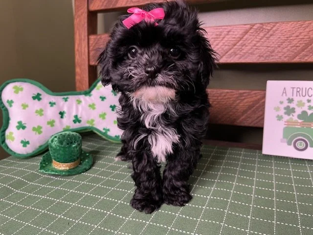 Reserved for Dunn Family