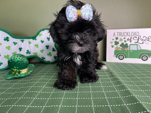 Reserved for the Clark Family