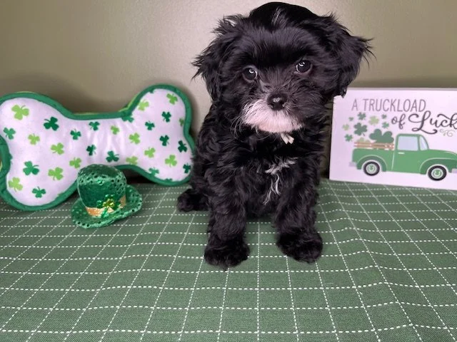 Reserved for the Hawkins Family