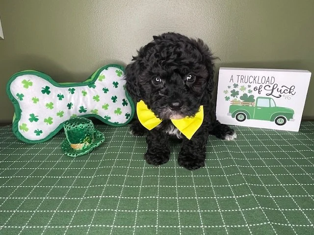 Reserved for the Thomas Family