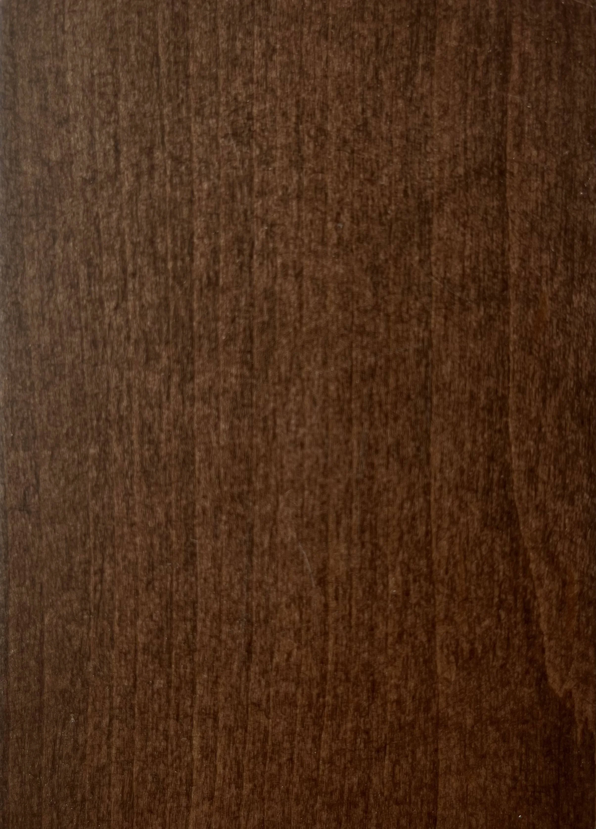 Mocha
