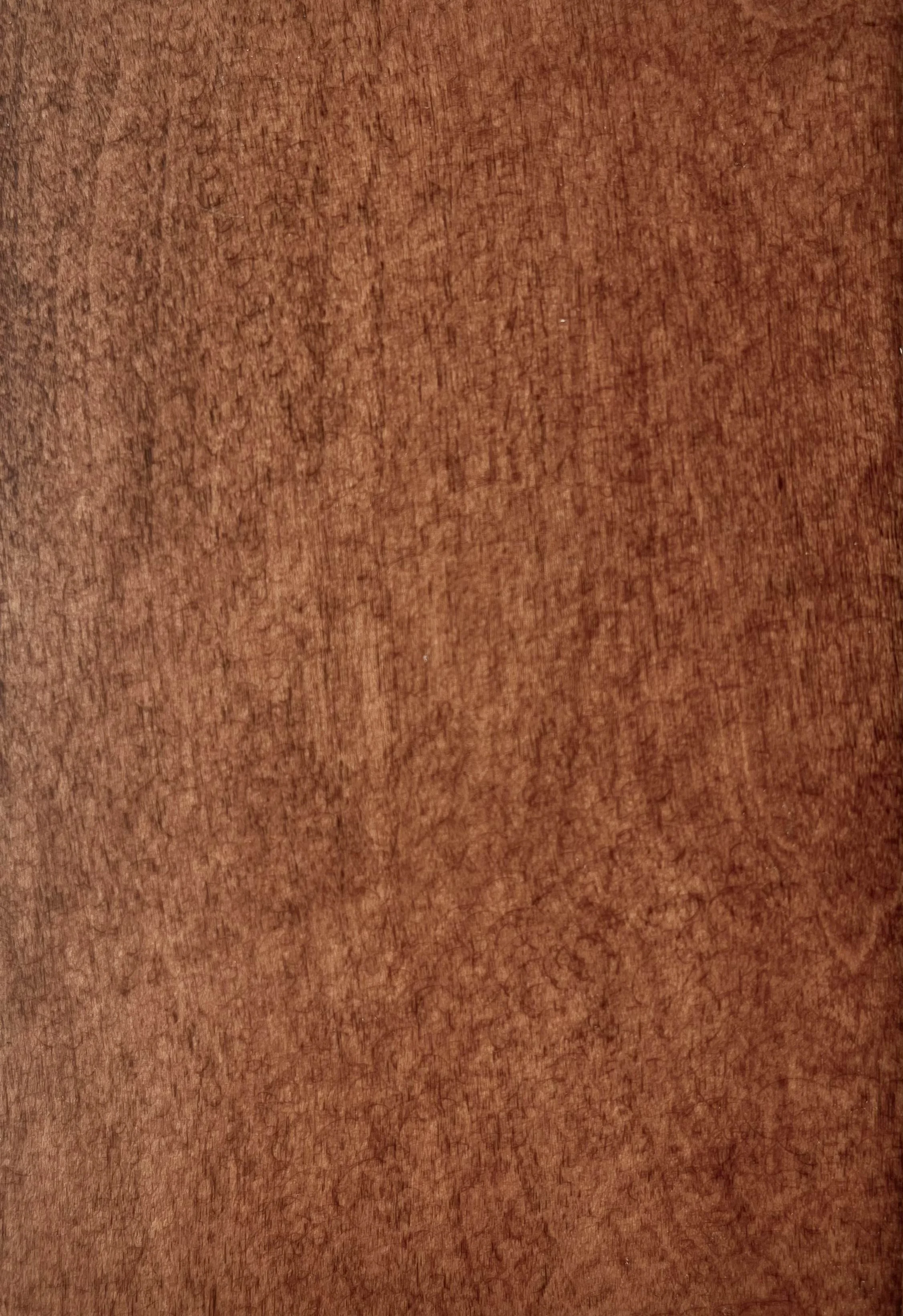 Cinnamon