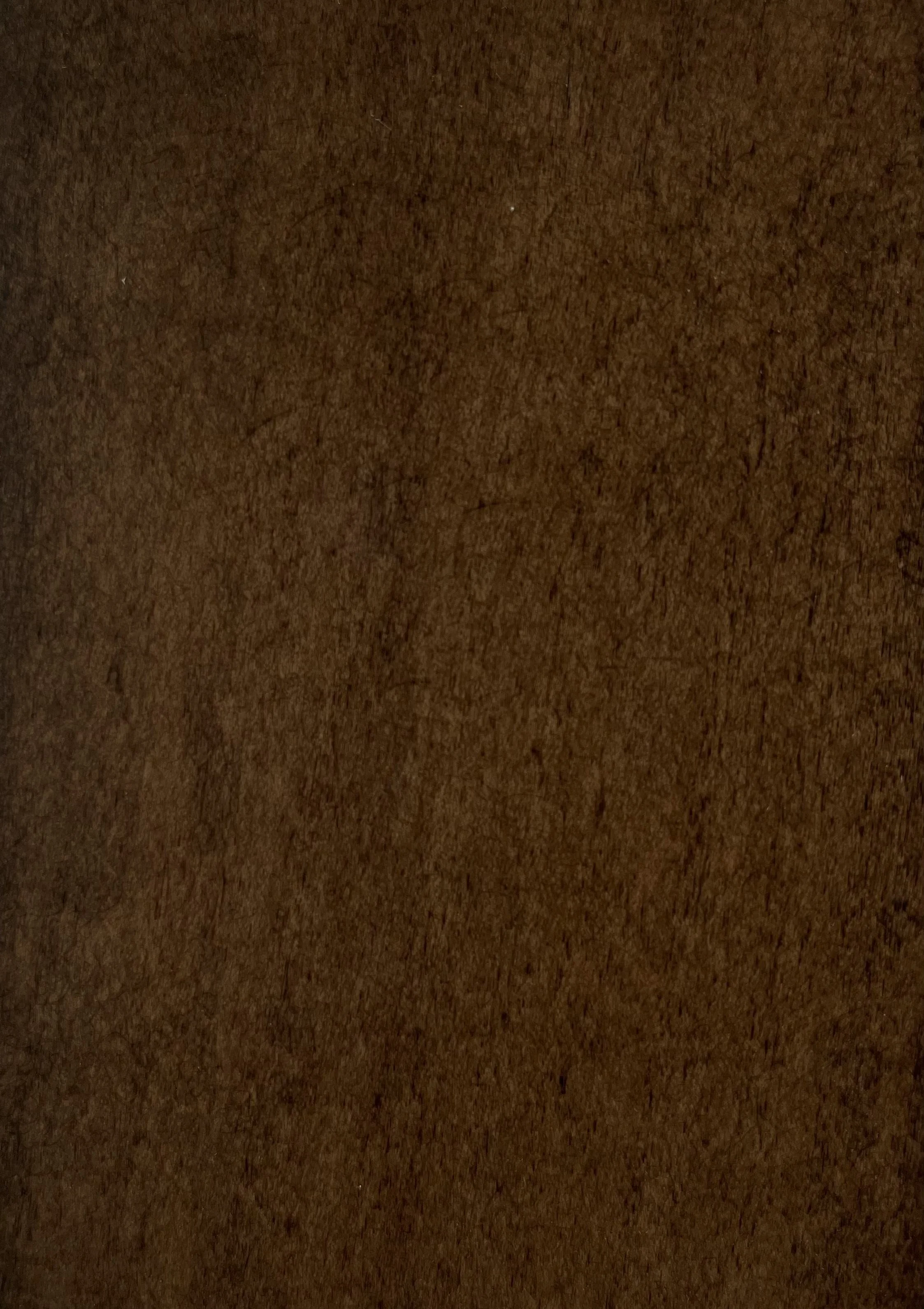 Dozer Oak