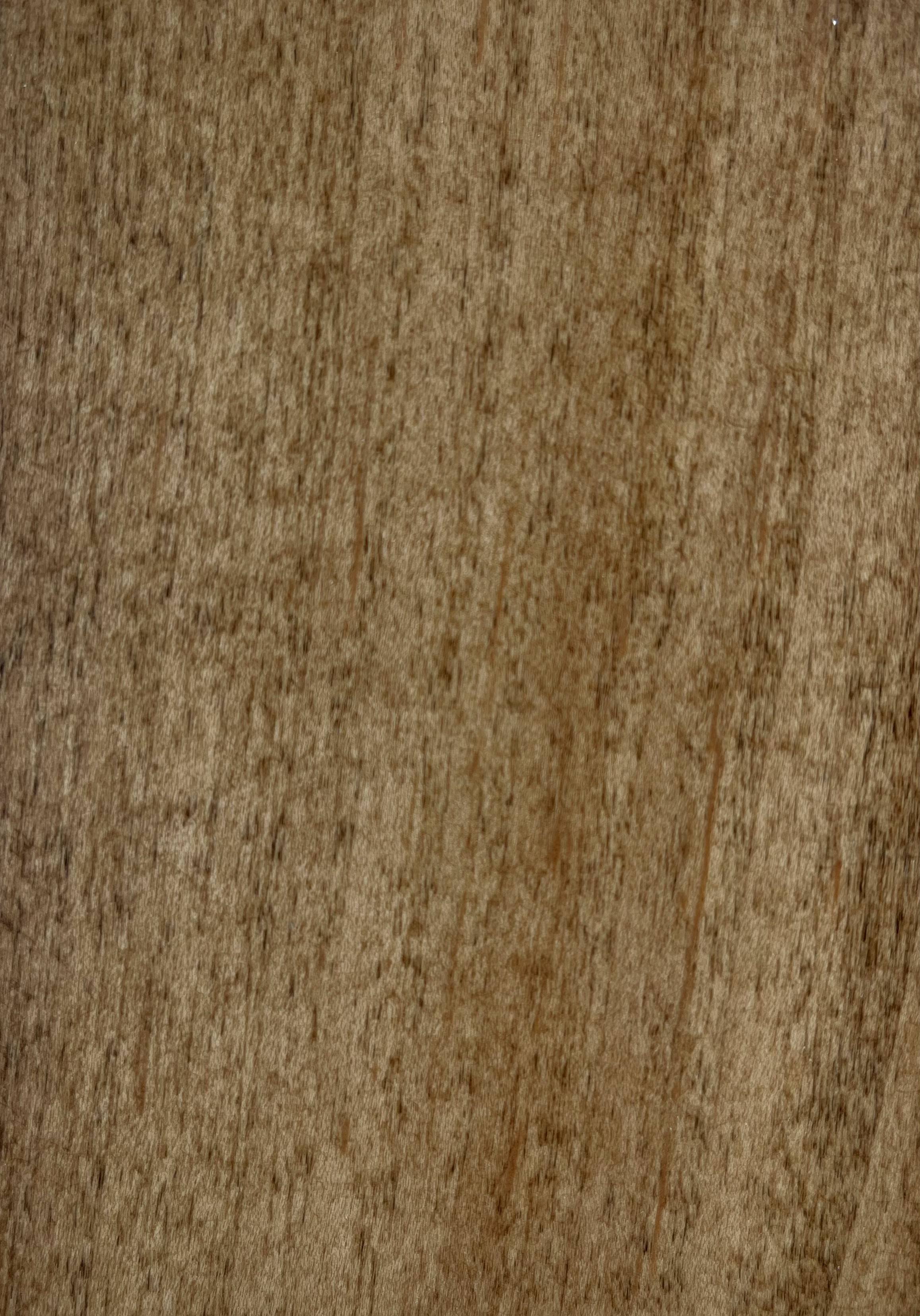 Teak