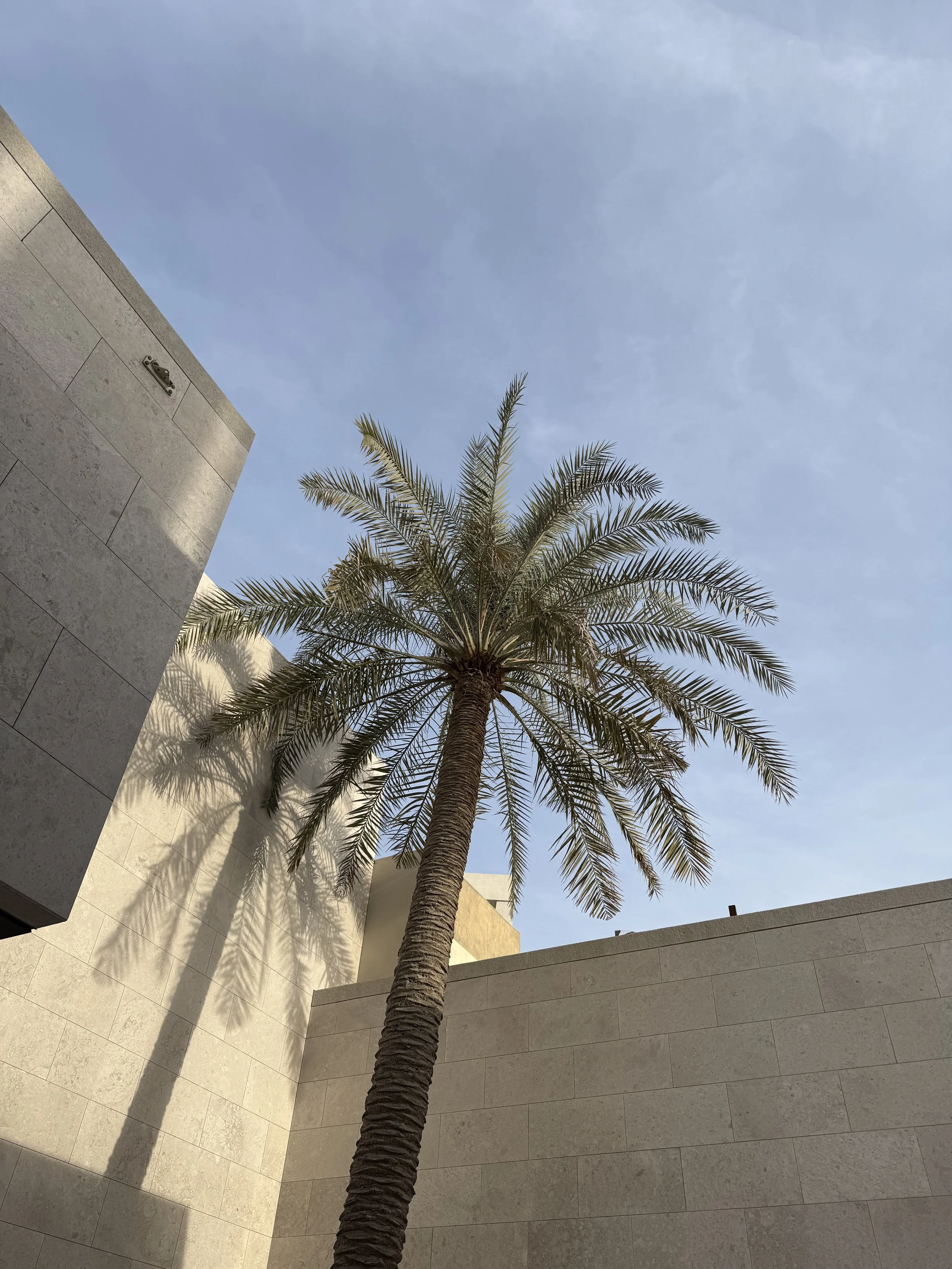 To the Anonymous Missionaries