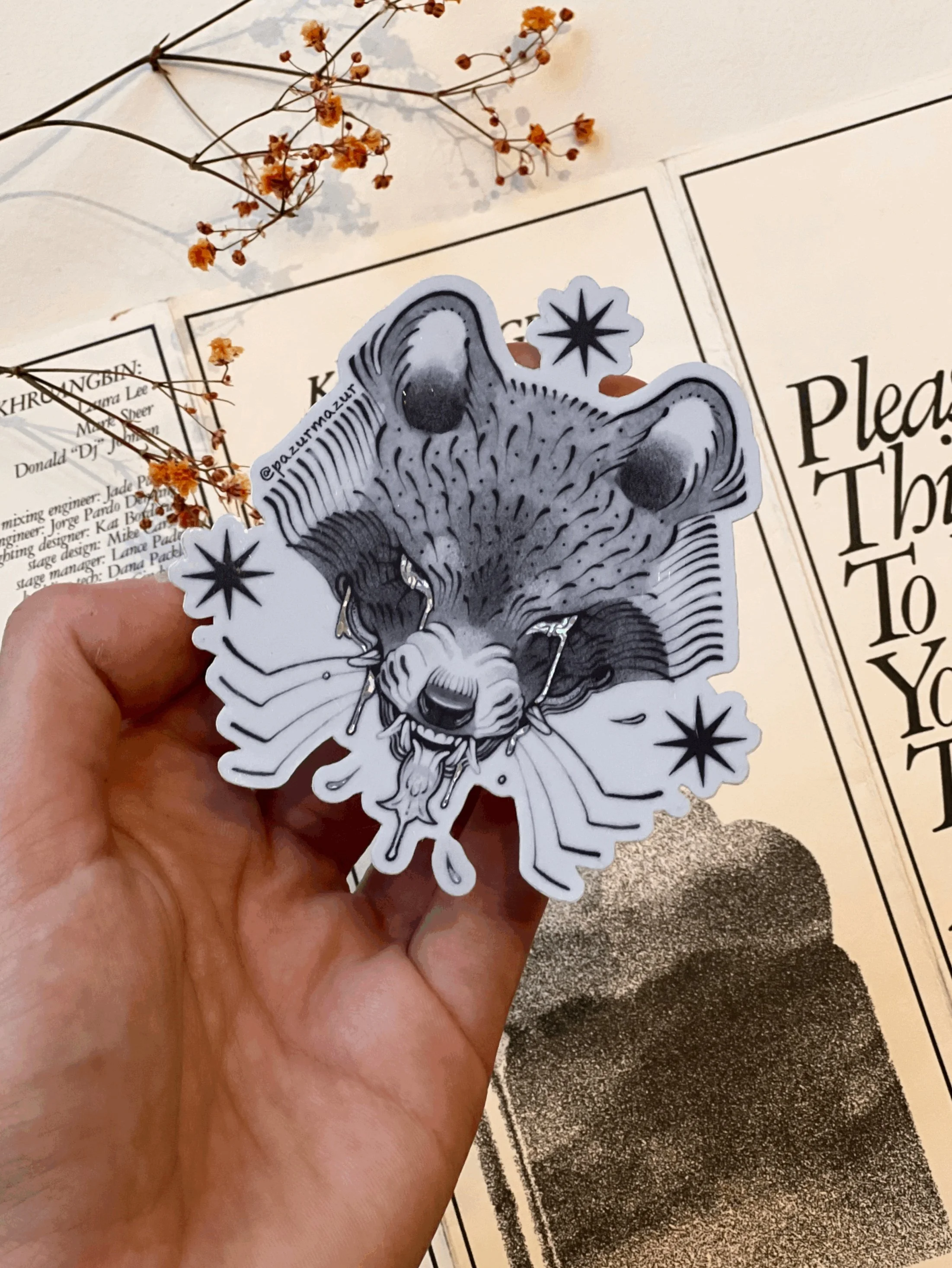 Raccoon ✹ Sticker