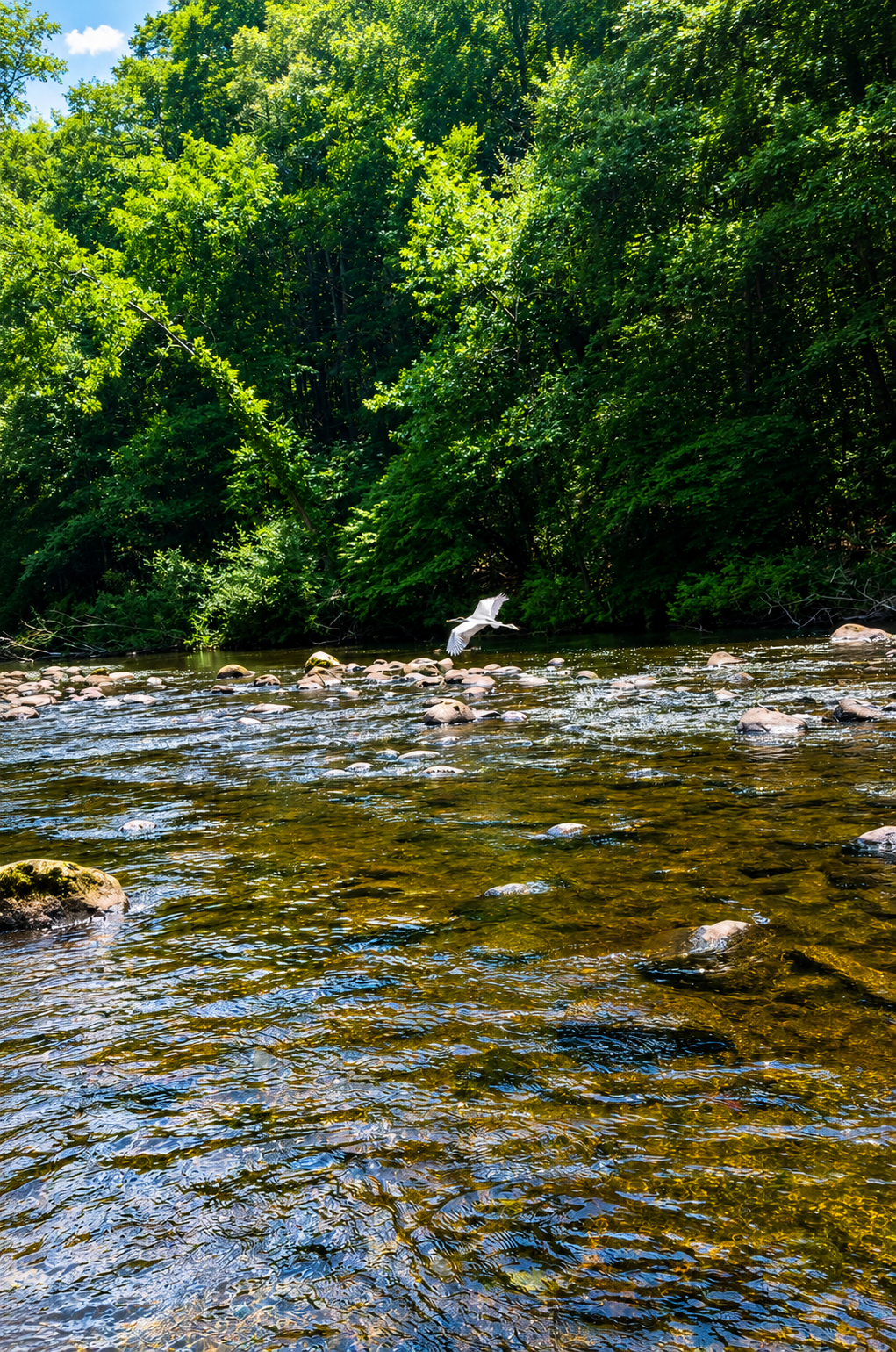 Salmon River, CT
