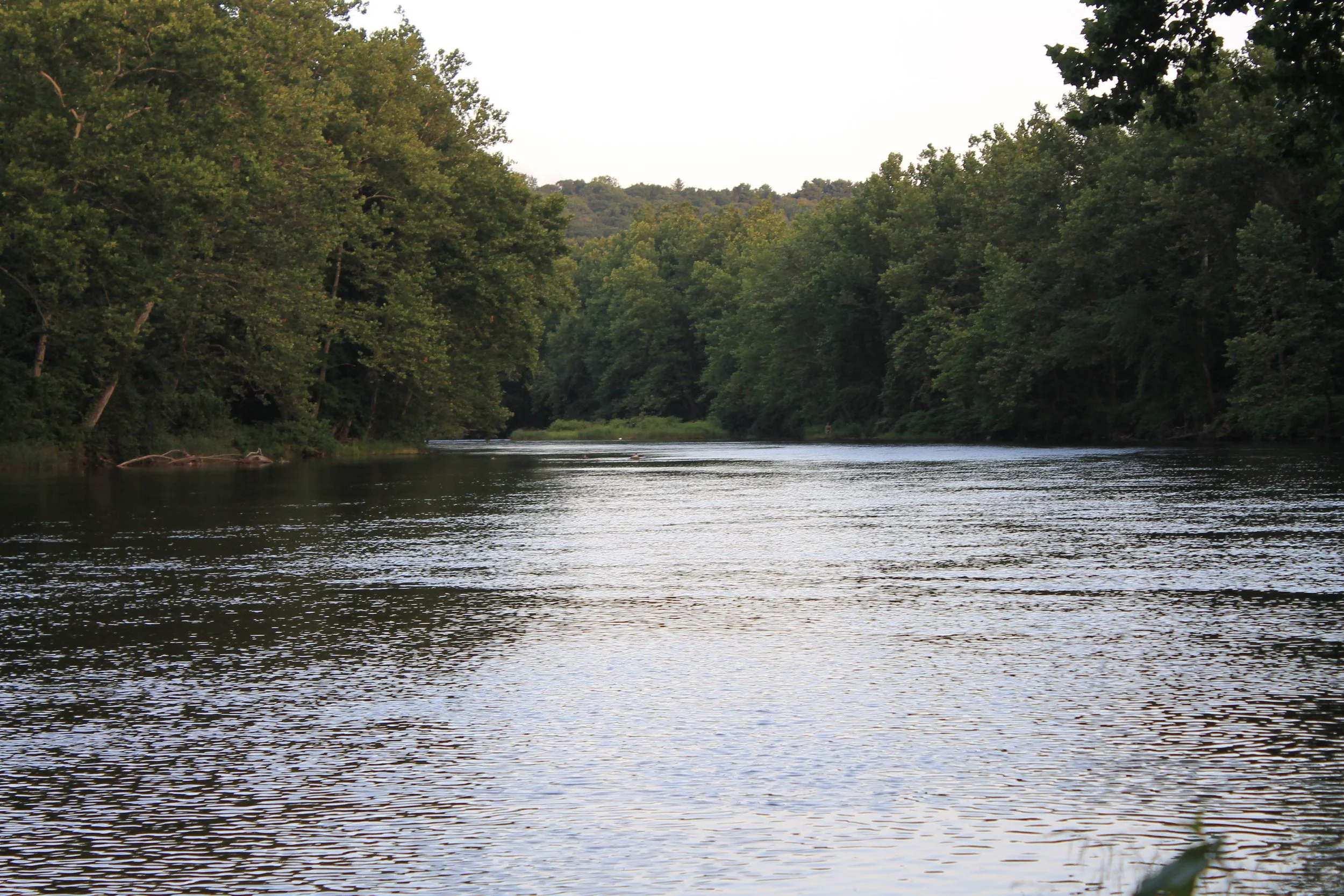 A peaceful river flowing through a dense green forest with hills in the background, under an overcast sky.