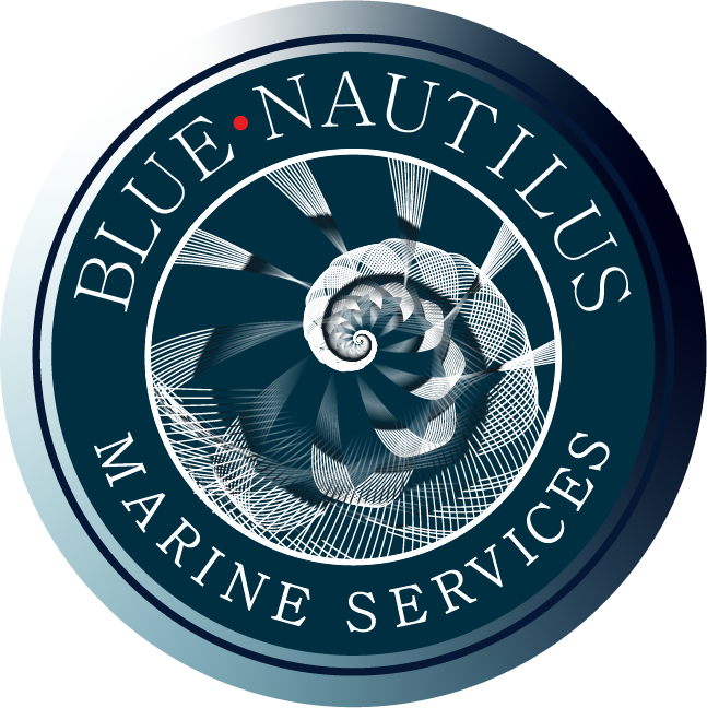 blue nautilus