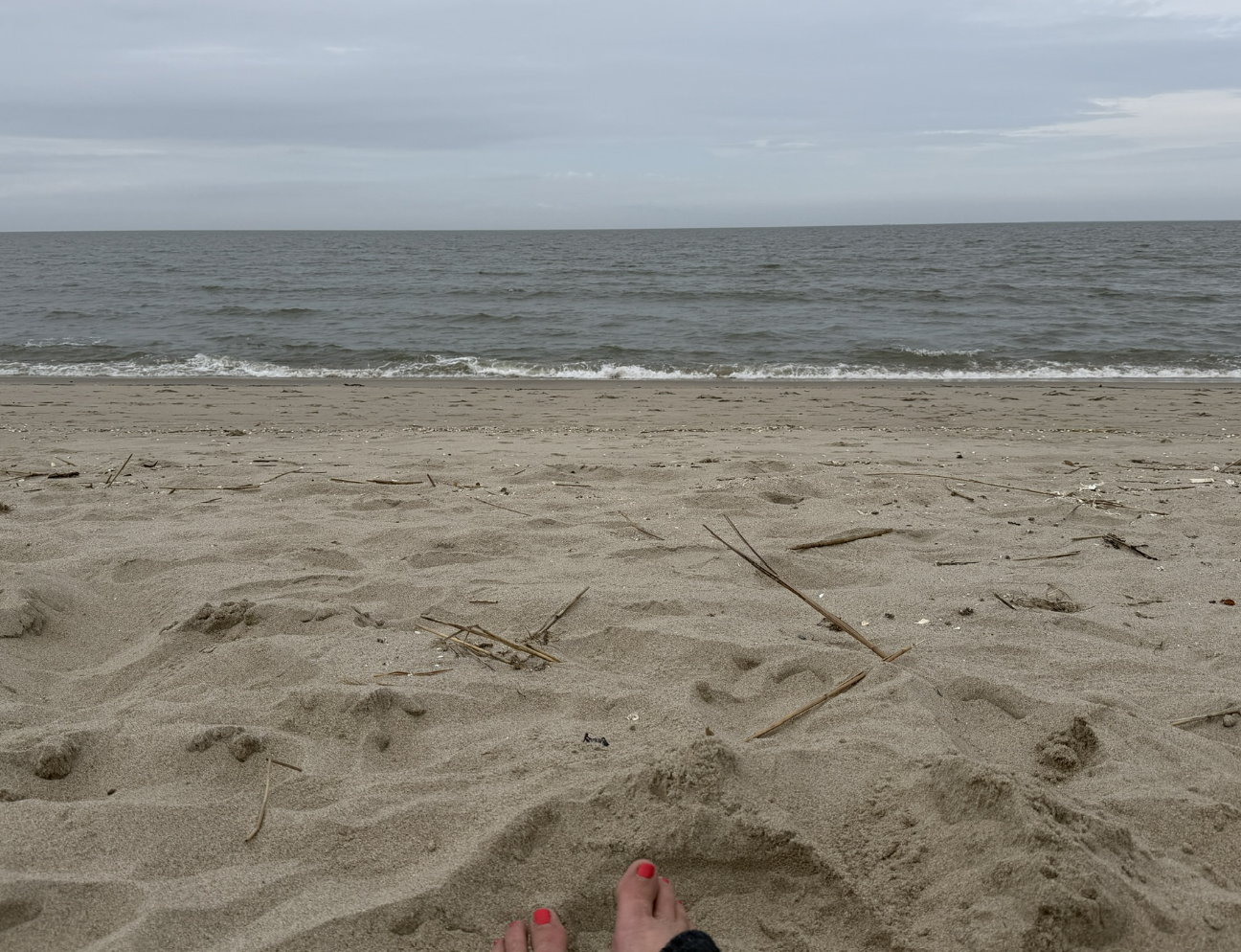 beach.png