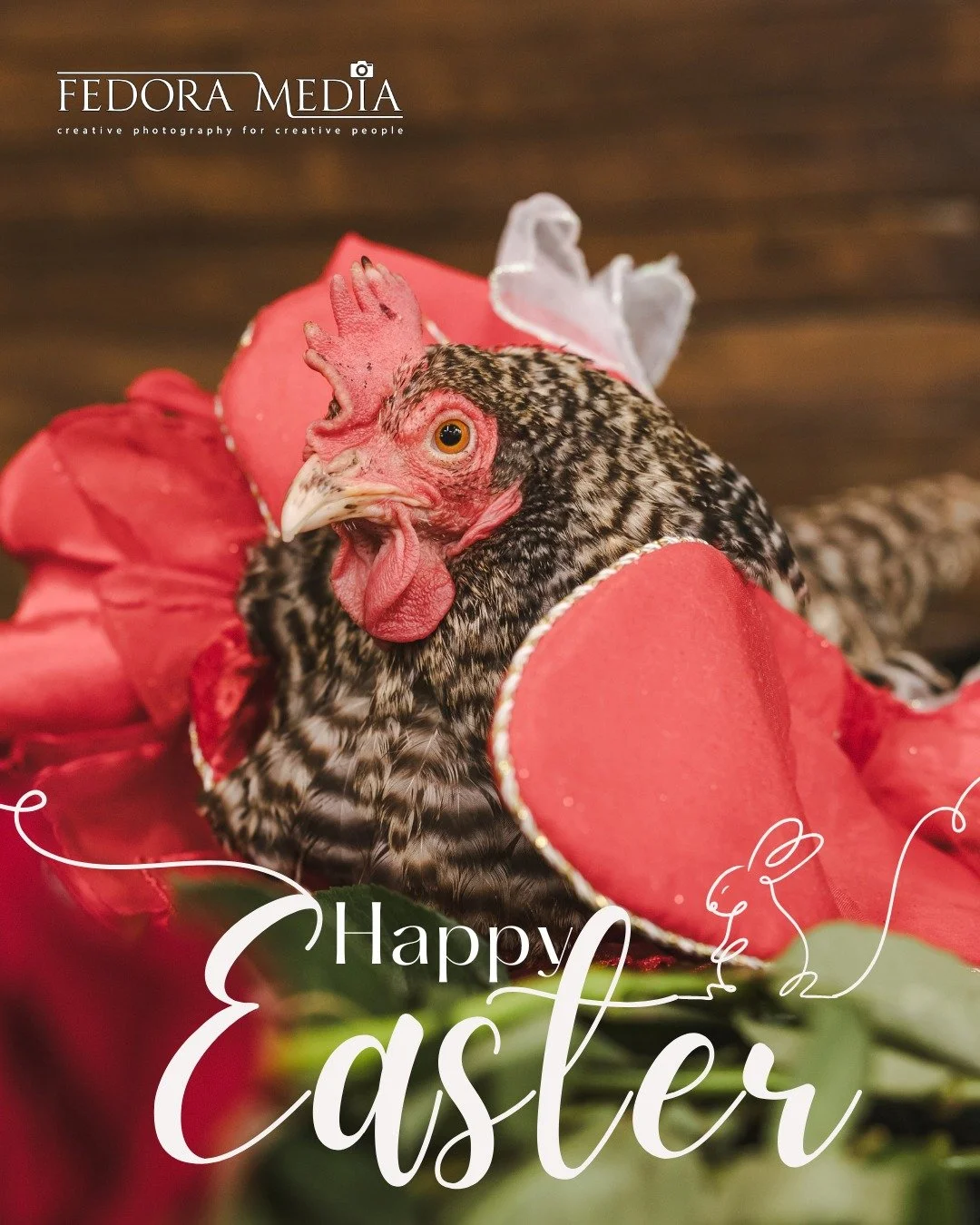 Happy Easter from all of us at Fedora Media.
We hope your day is filled with family, fresh beginnings, and plenty of fun (and if there happens to be a turkey wandering through your photos like there was in ours, even better). Sometimes the unexpected