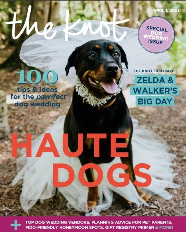 One of our most exciting features to date: Zelda&rsquo;s beautiful wedding at @erinestate &mdash; proudly showcased on the cover of @theknot Also, check out pages 2 and 19 - 26 to see more! Link in our bio

#TheKnot #TheKnotWeddings #WeddingFeature #
