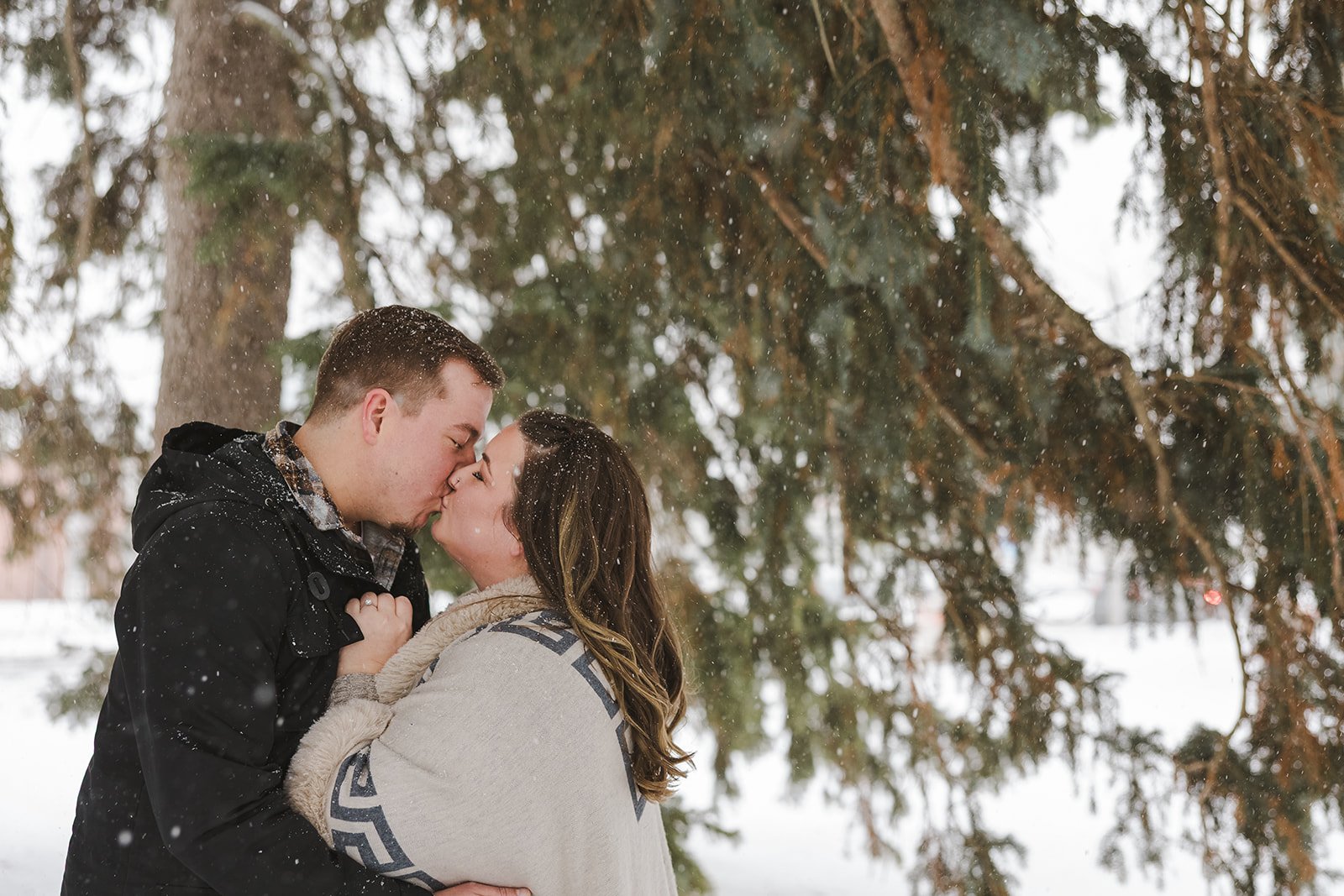 Couple kiss in the snow under pine tree  Ontario Engagement  Fedora Media.jpg