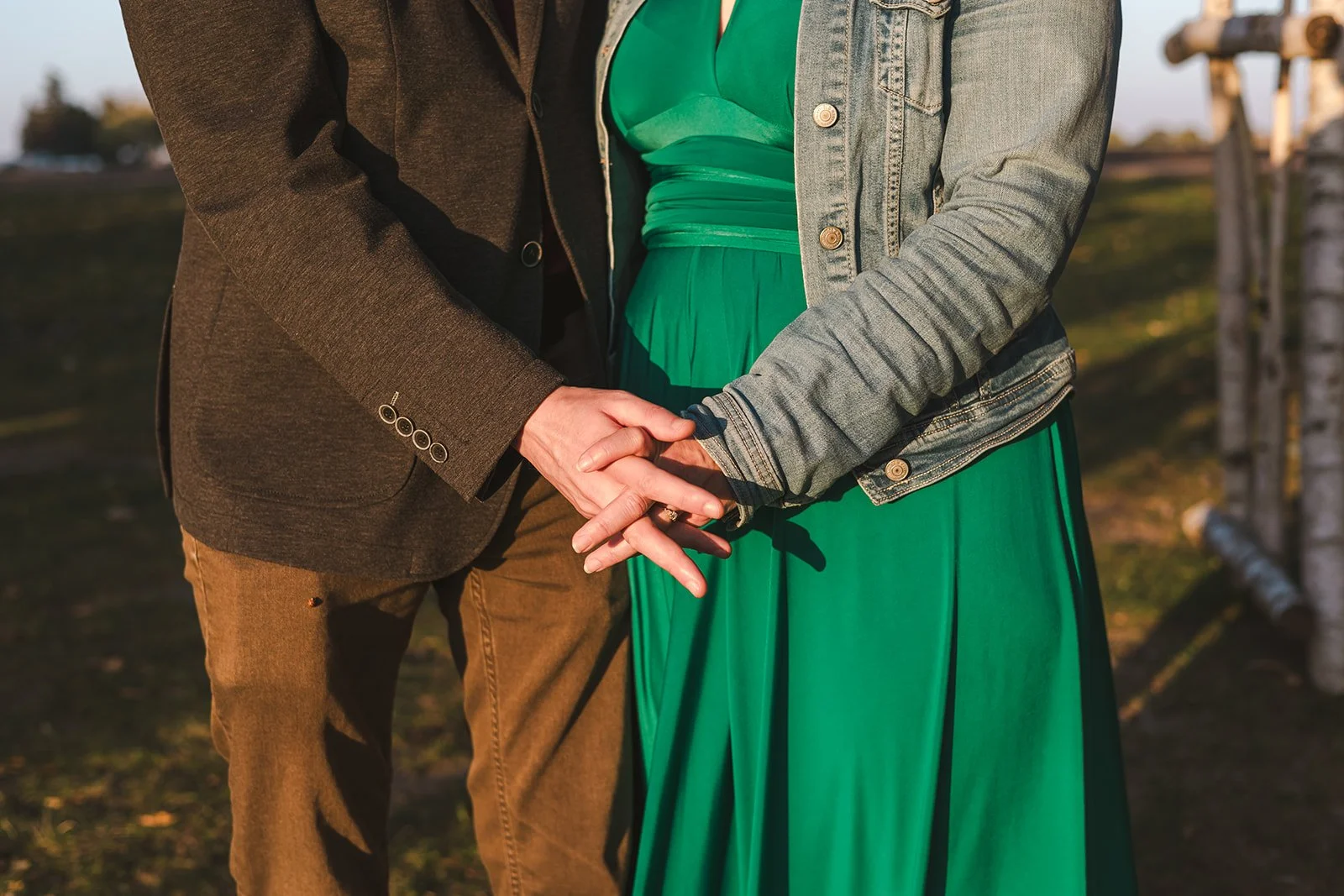 Holding hands at sunset  Ontario Engagement  Fedora Media.jpg