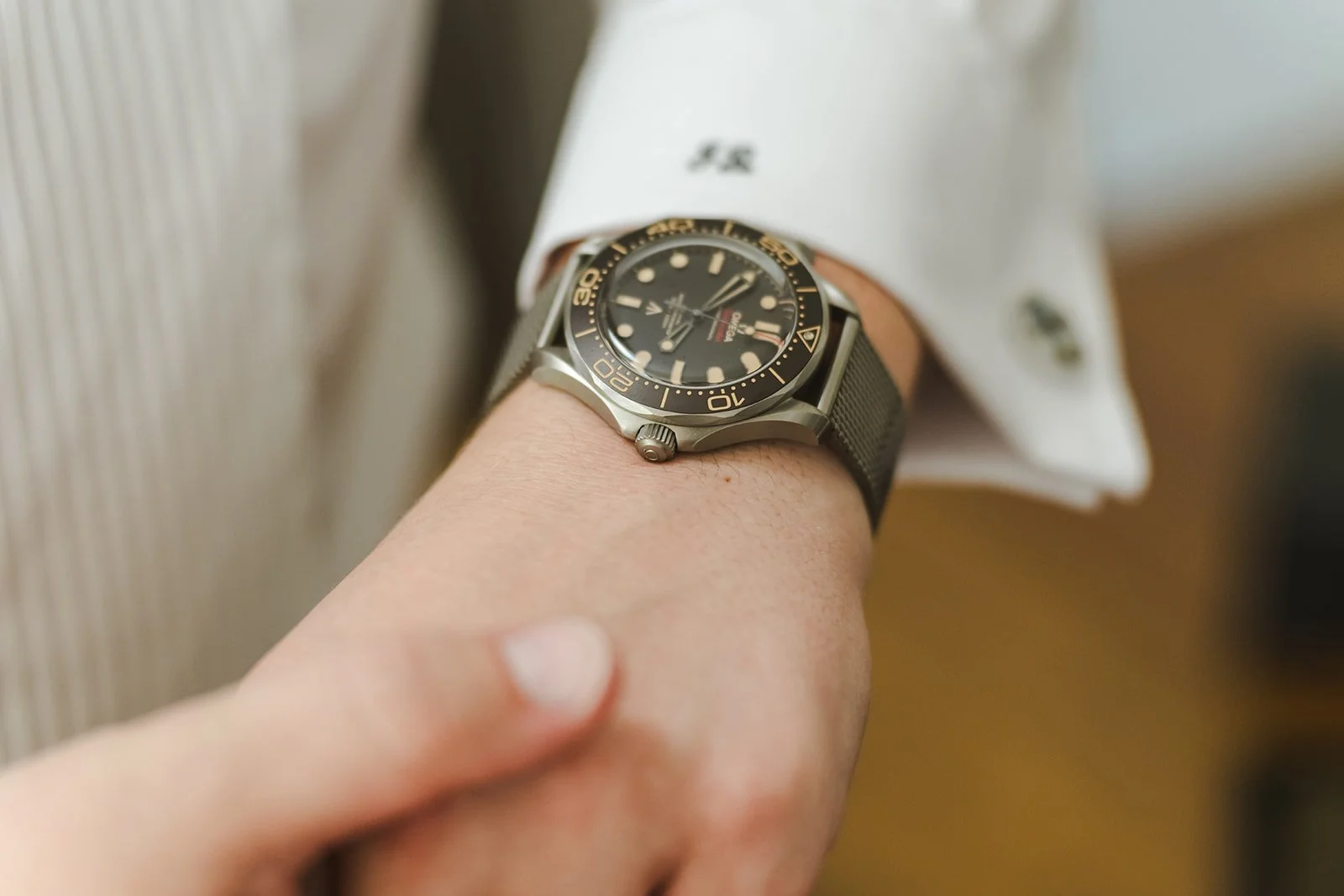 Groom watch detail  Barn Swallows at Thatcher Farm  Fedora Media.jpg