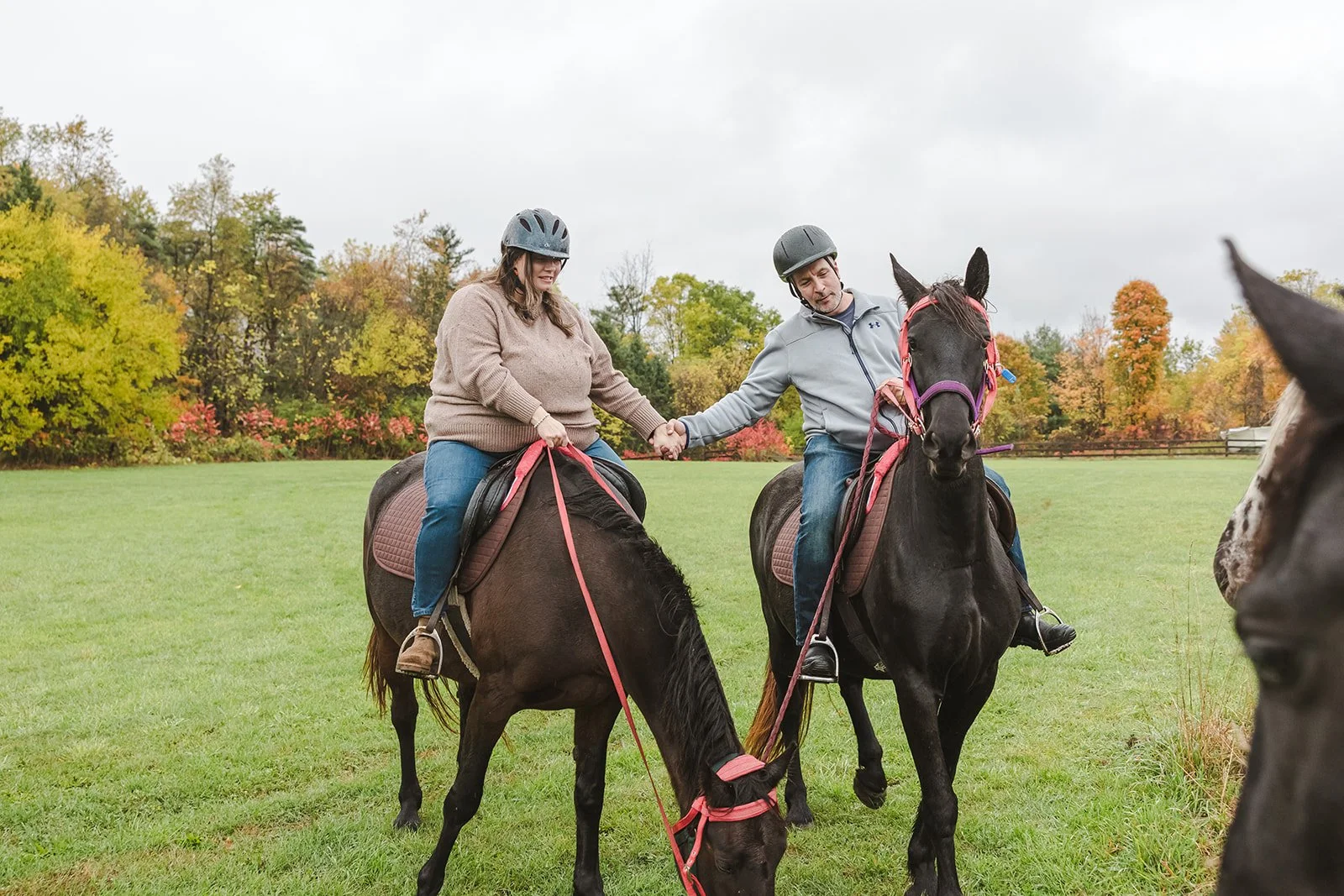 Couple holding hands while riding horses  Cabin Propsal  Fedora Media.jpg
