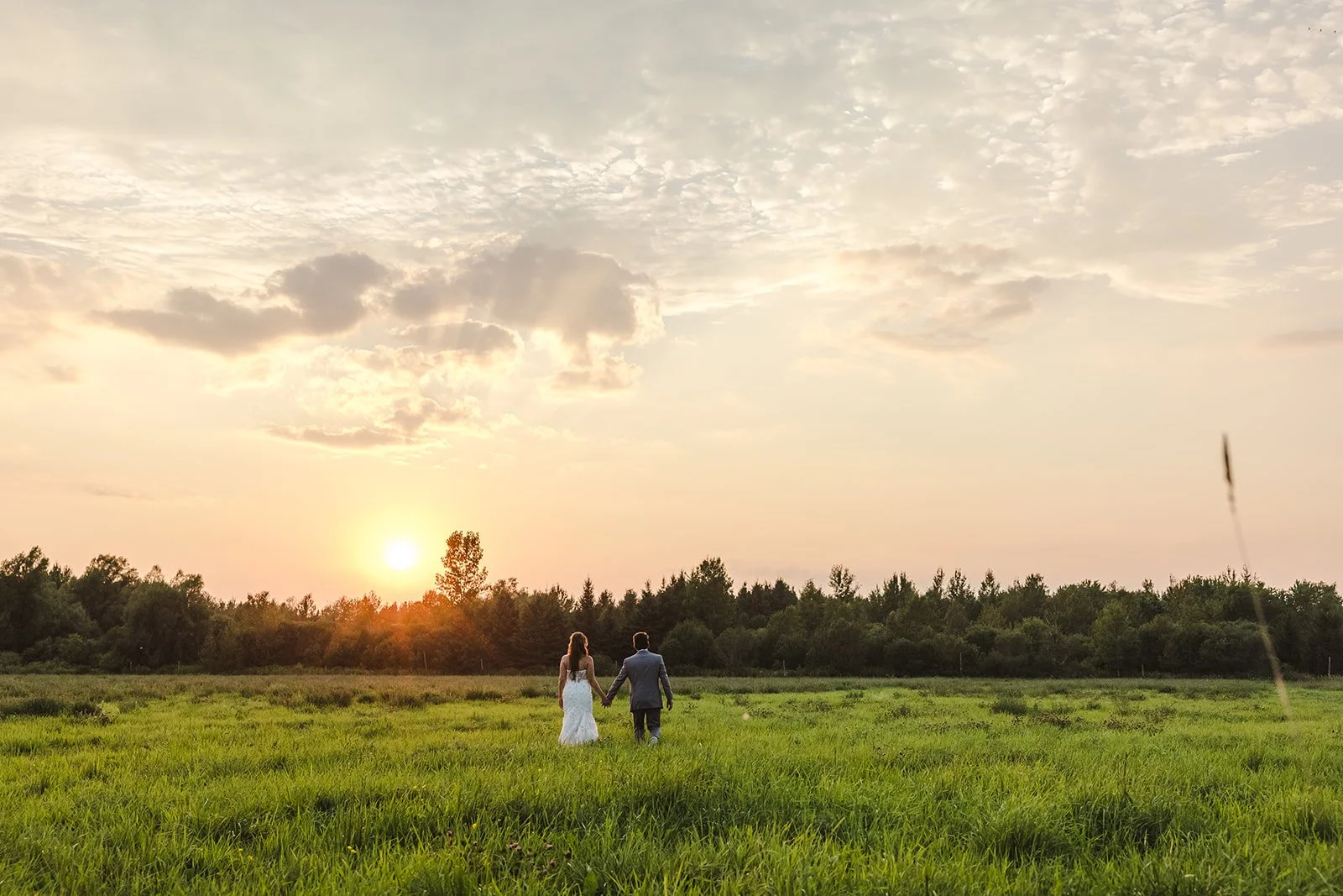 Golden hour bride and groom holding hands in field  Erin Estates  Fedora Media.jpg