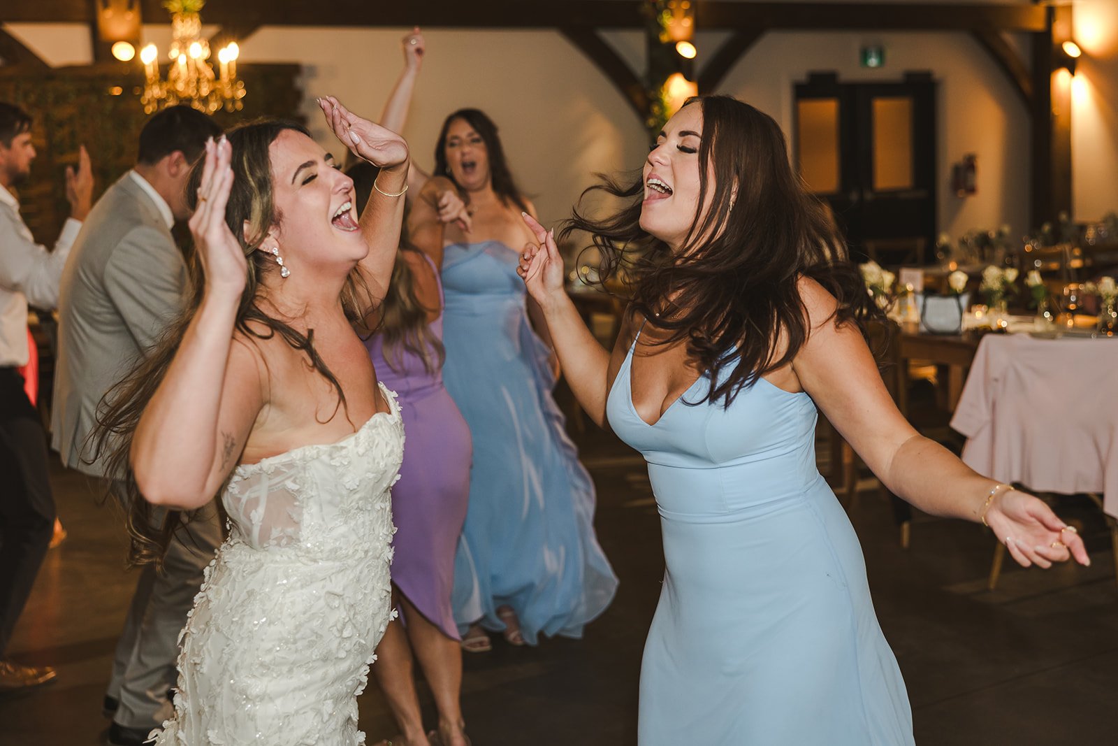 Bride dancing with guests  Erin Estates  Fedora Media.jpg