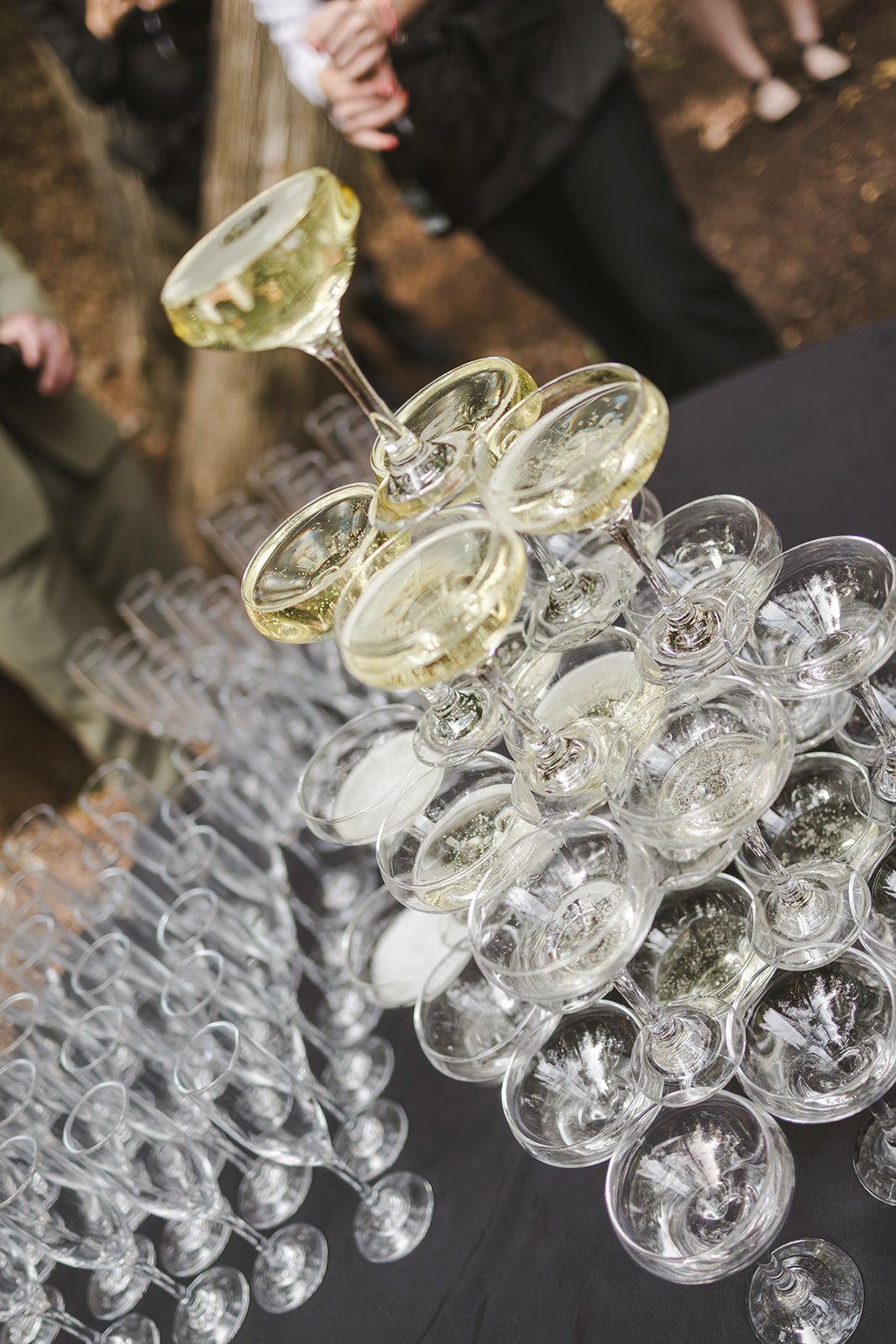 Champagne glass tower  Erin Estates  Fedora Media.jpg