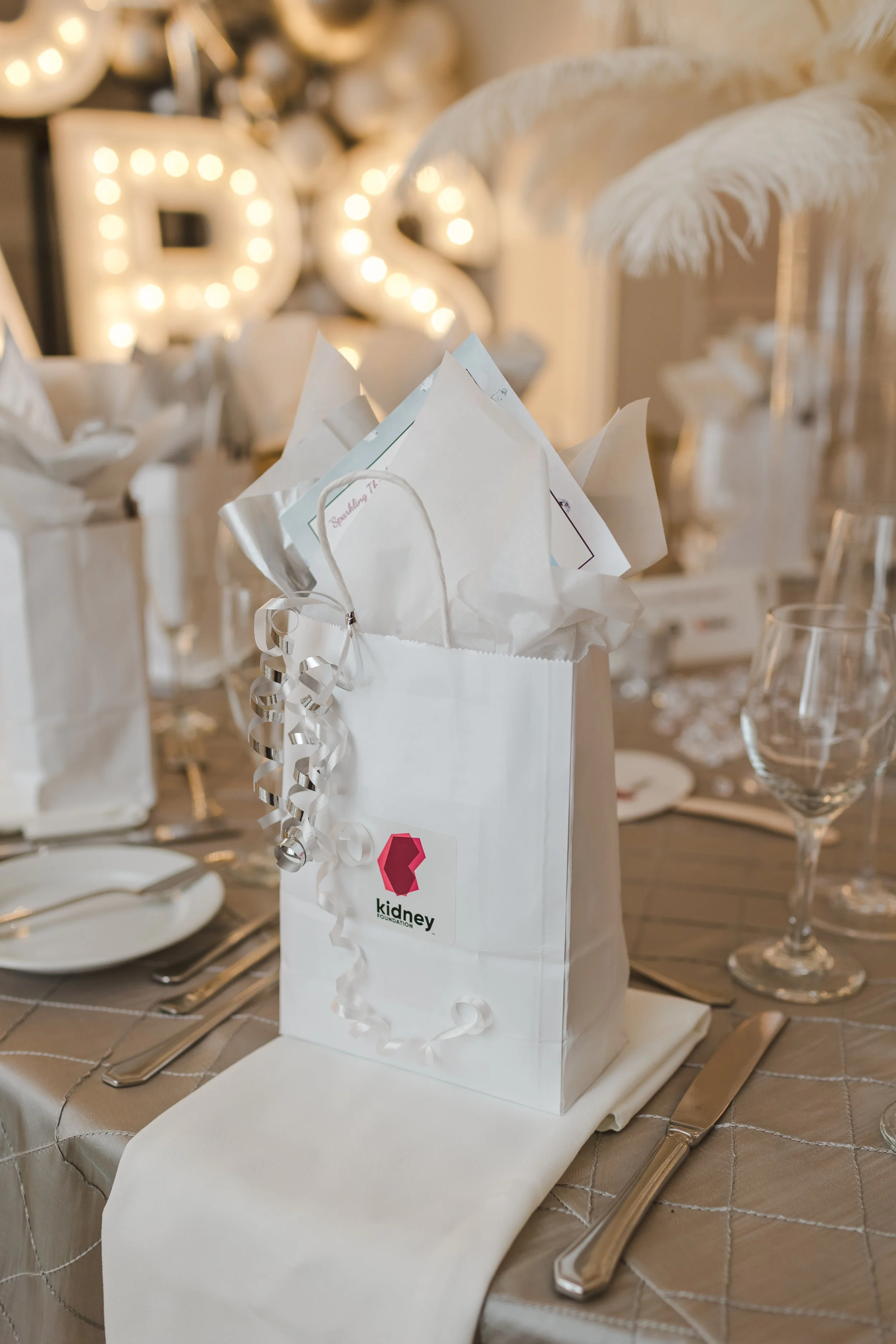 goodie-bag-with-white-paper-and-tinsel-kidney-foundation-fedora-media.jpg
