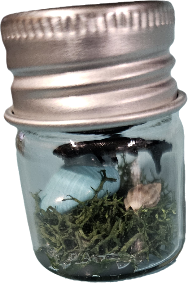 small glass charm bottles with trinkets