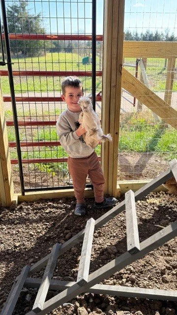 A young boy holding a white chicken in front of a wooden and wire fence on a farm or backyard.