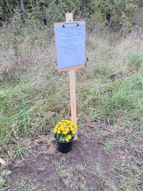 A small sign with a blue background and text, mounted on a wooden stake, with a potted yellow chrysanthemum flower at its base in a grassy outdoor area.
