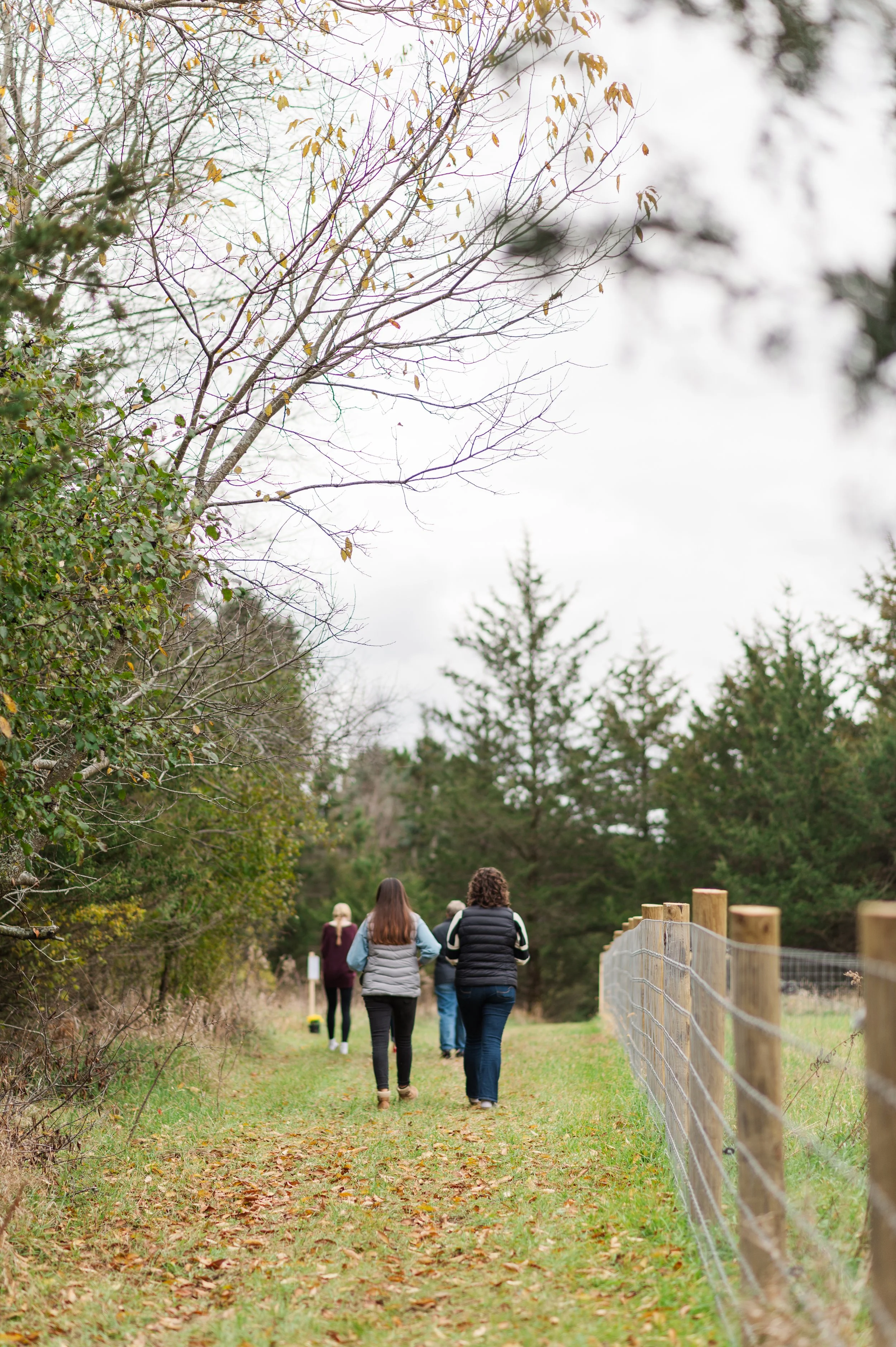 A group of five people walking on a grassy trail in a wooded area during fall, with trees on both sides and a fence on the right.