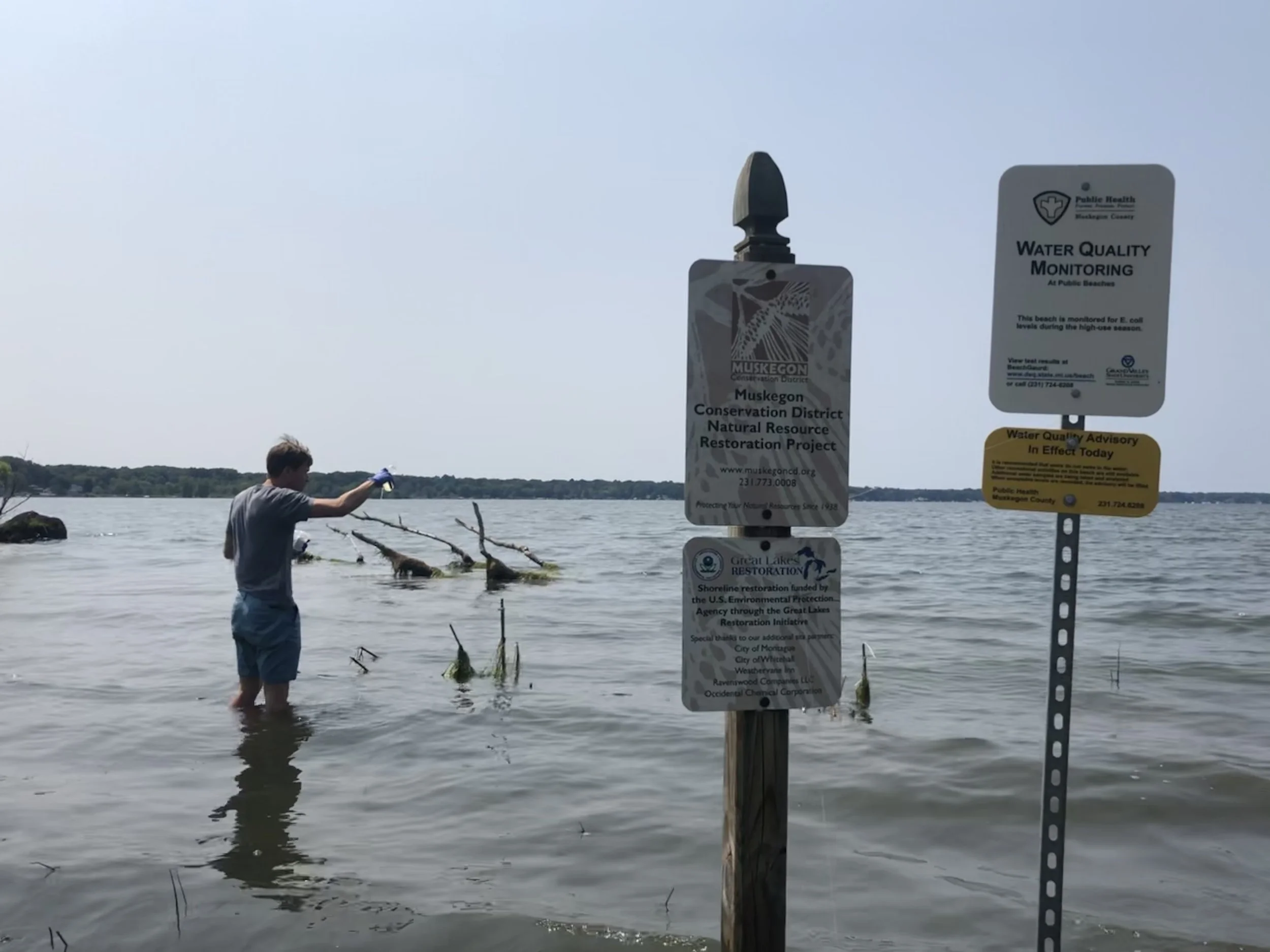 A person standing in a lake near a shoreline with water quality monitoring signs posted and dead trees in the water.