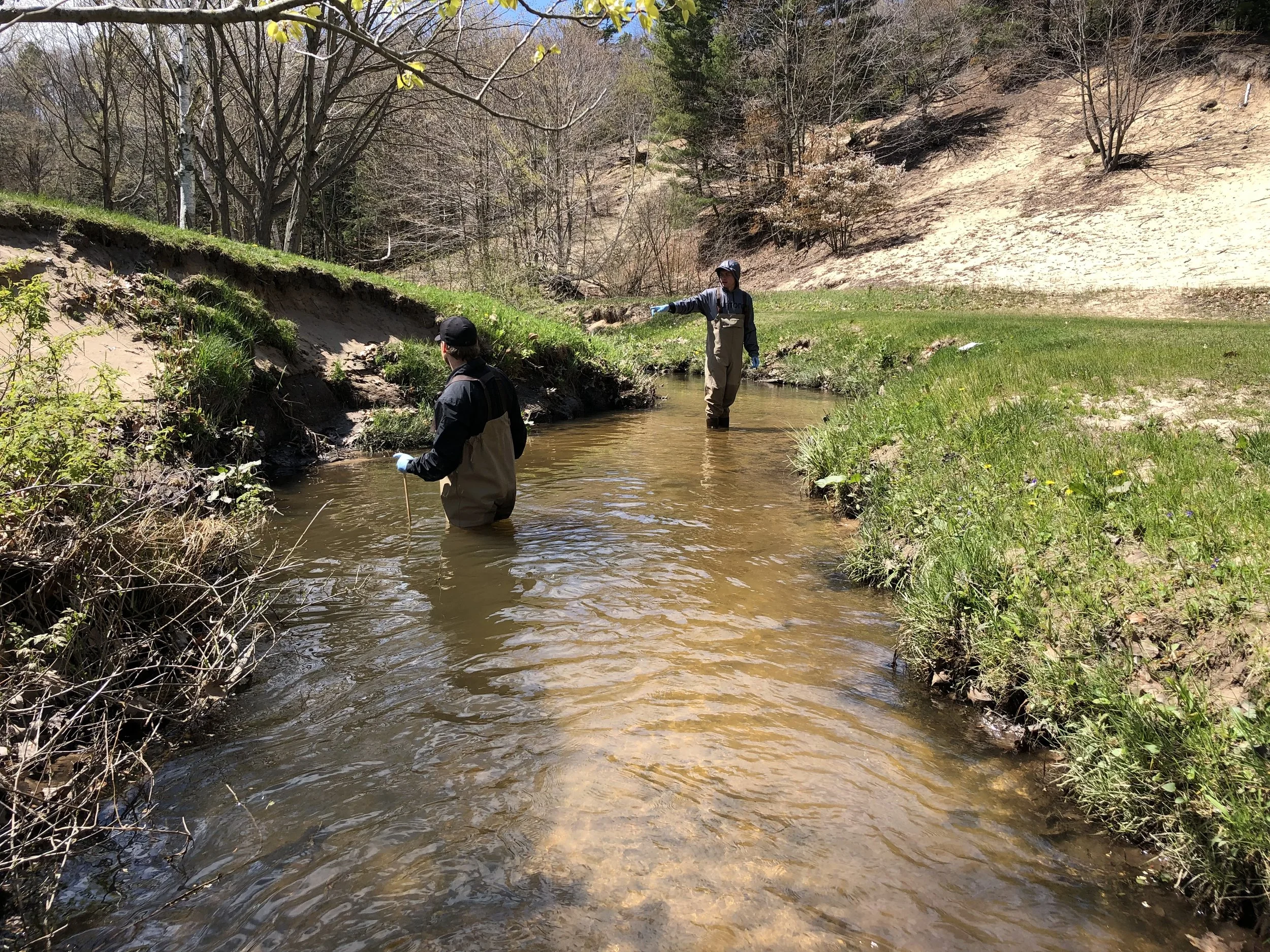 Two people in waders standing in a shallow creek in a natural landscape with trees and grassy areas.