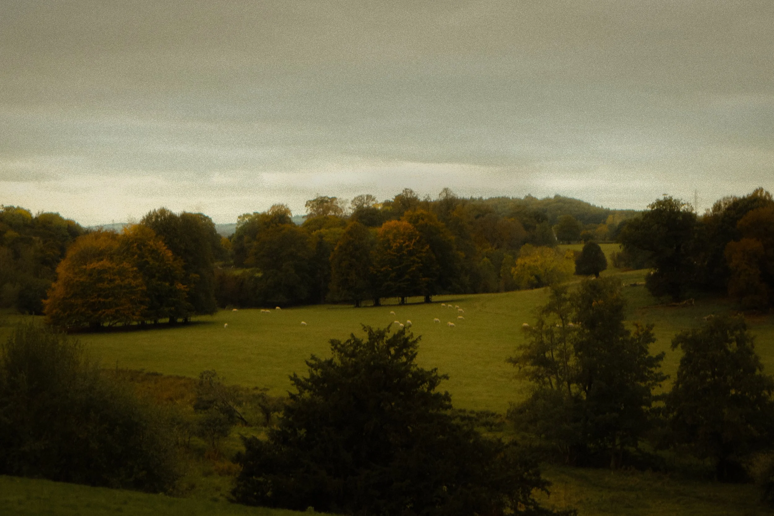 North West Landscapes