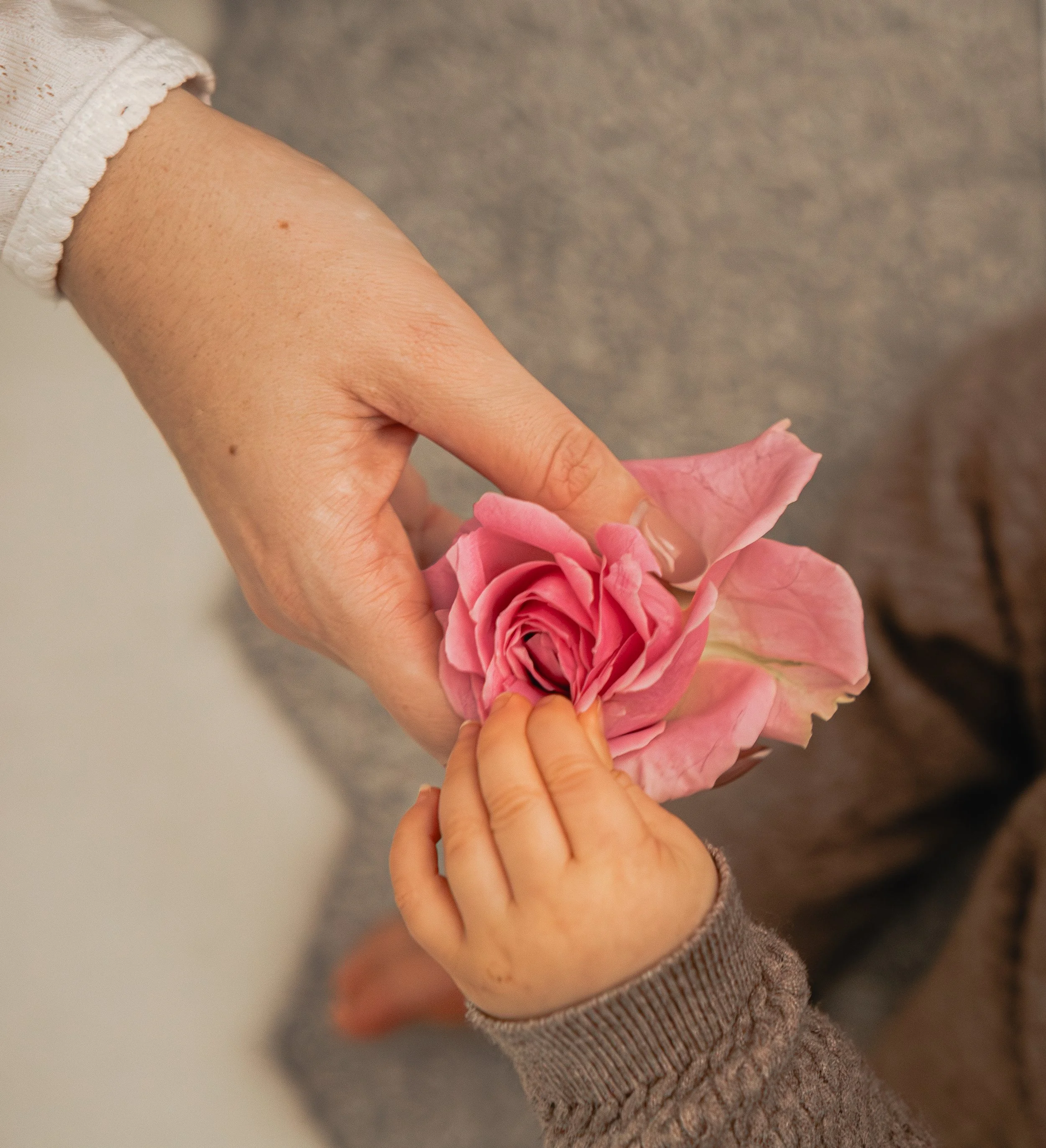 Sian & Ernesto-6.jpg