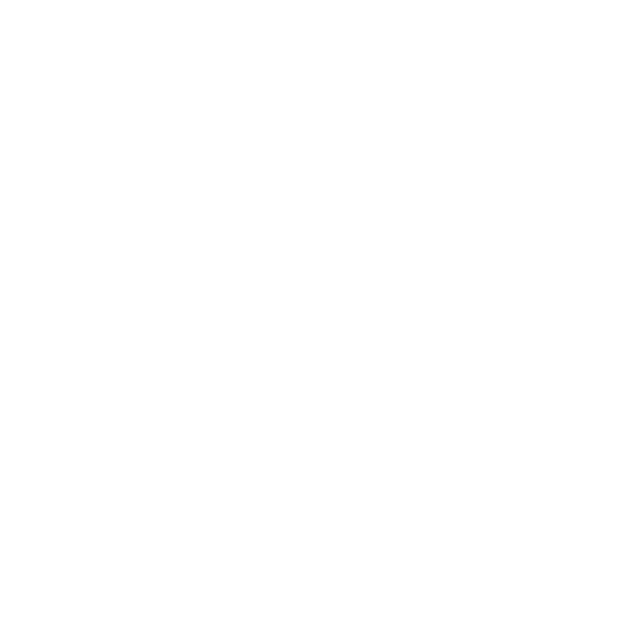 Icon of a globe with a folder in front of it, representing internet and file storage.