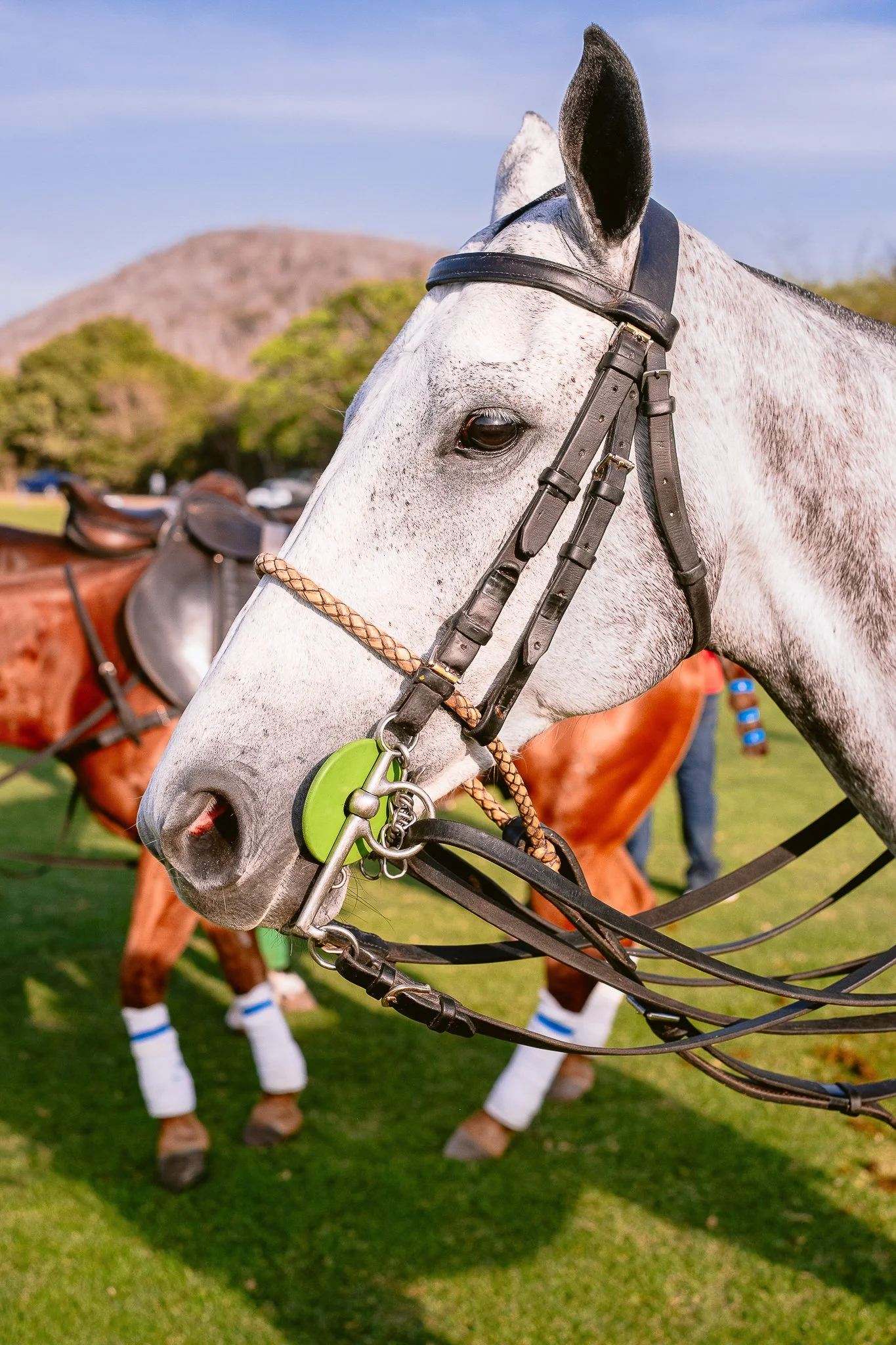 Events-polo-lifestyle-photography-Diana-Navas-Careyes-6.jpg