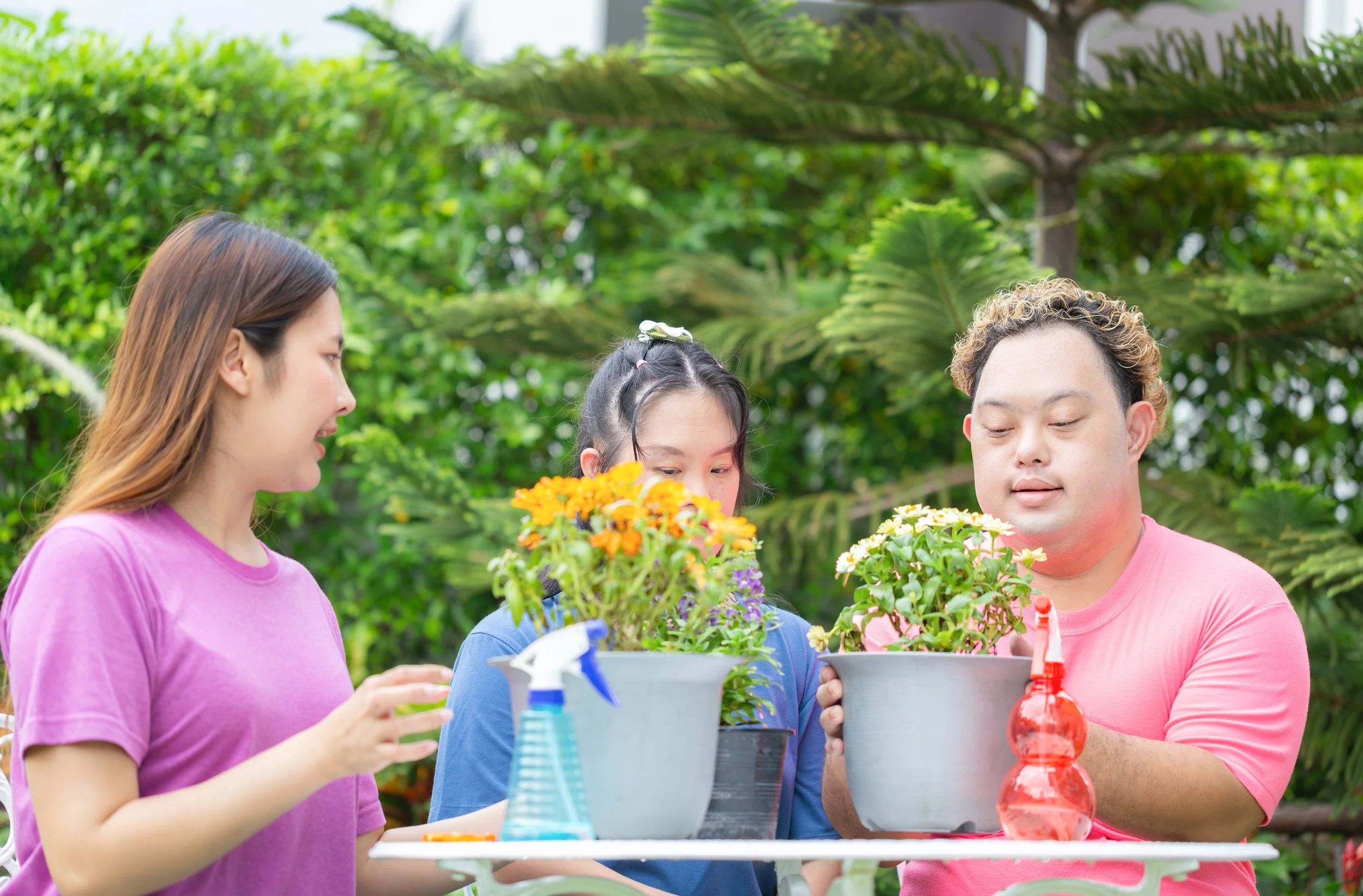 Three people gardening outdoors with potted plants, garden spray, and a watering device, surrounded by lush green foliage.