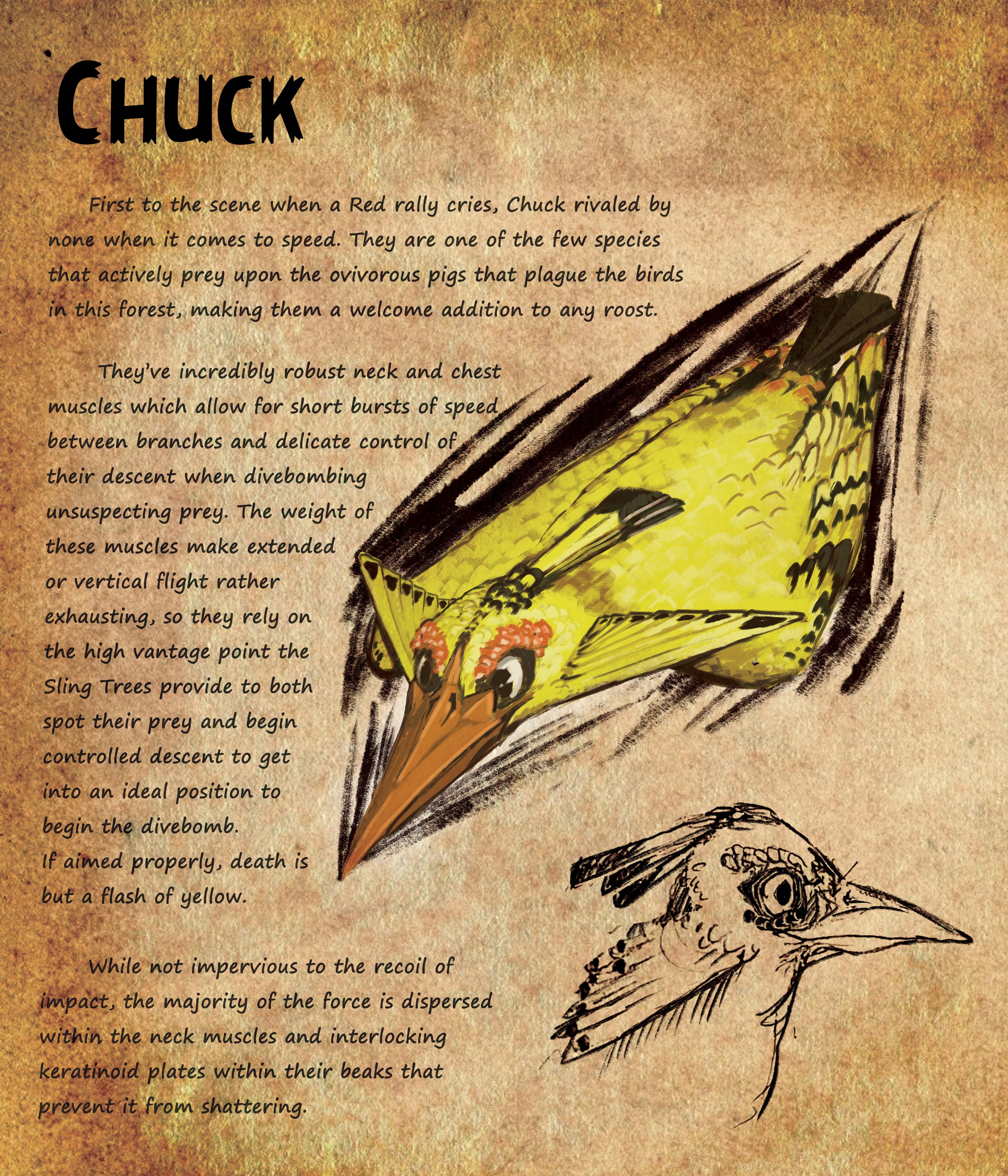 Dboing_MiniThesis_Chuck.jpg