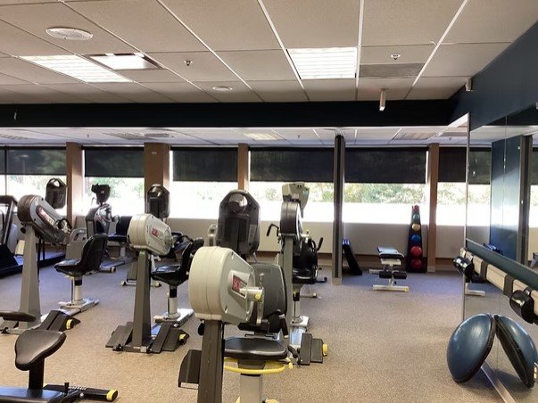 Empty gym with exercise machines, weights, and a row of windows in the background.