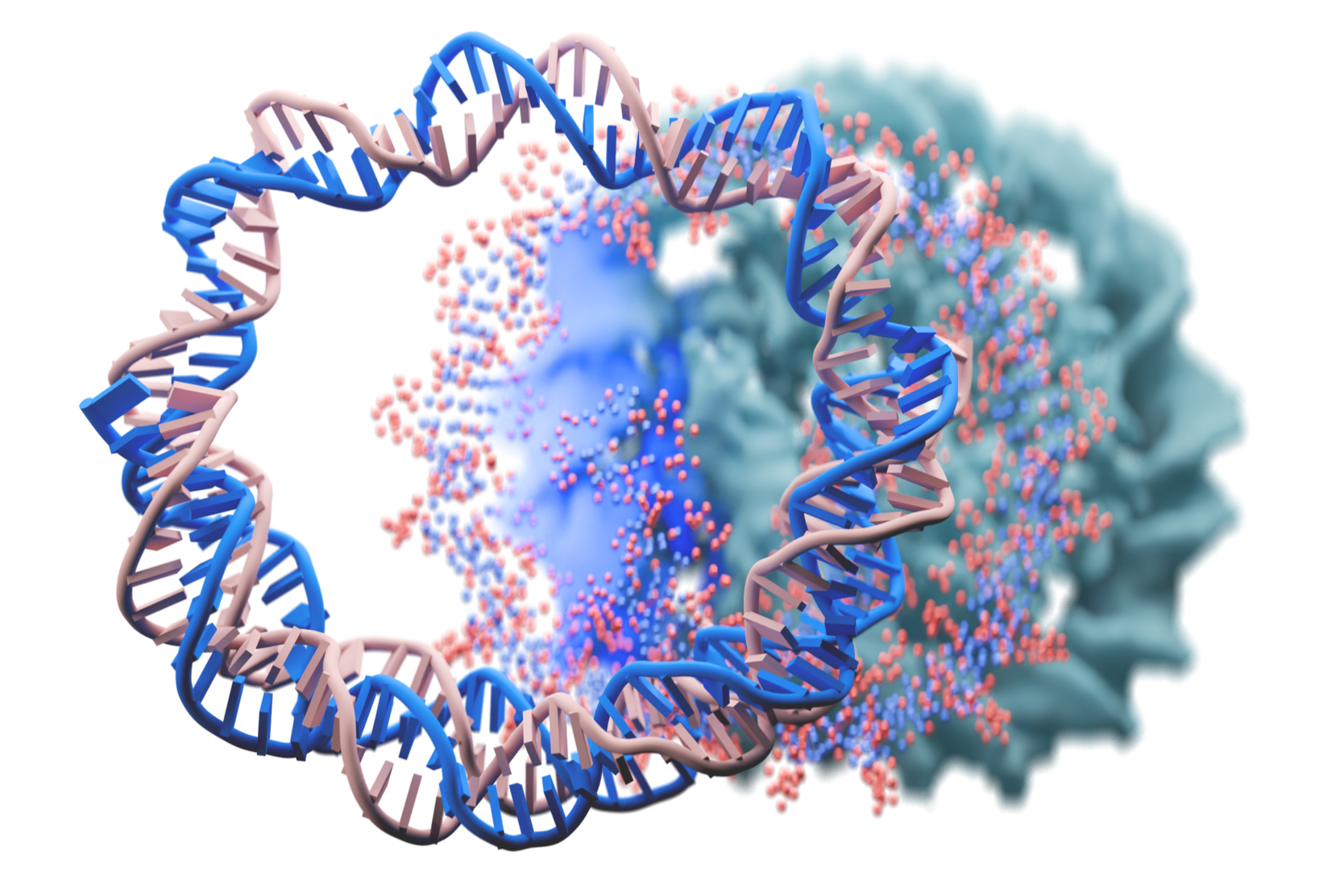 Digital illustration of DNA double helix structure with a molecular model of a cell in the background.