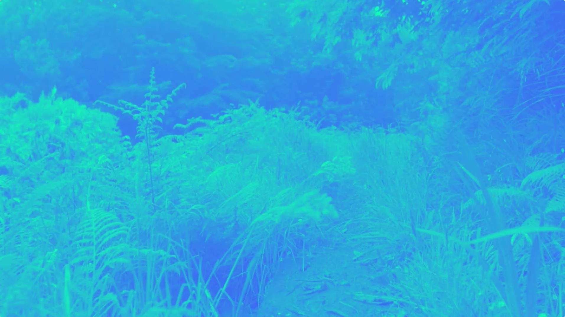 Kathy-Goodkin-environment.jpg