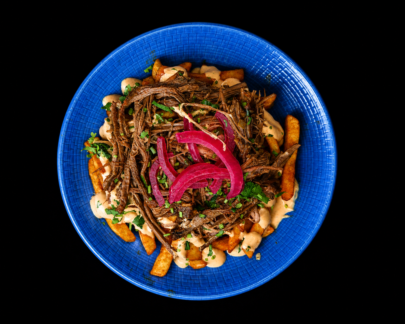 Birria Papas
