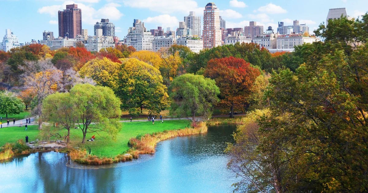 new_york_central_park_01_introduzione_jpg_1200_630_cover_85.jpg