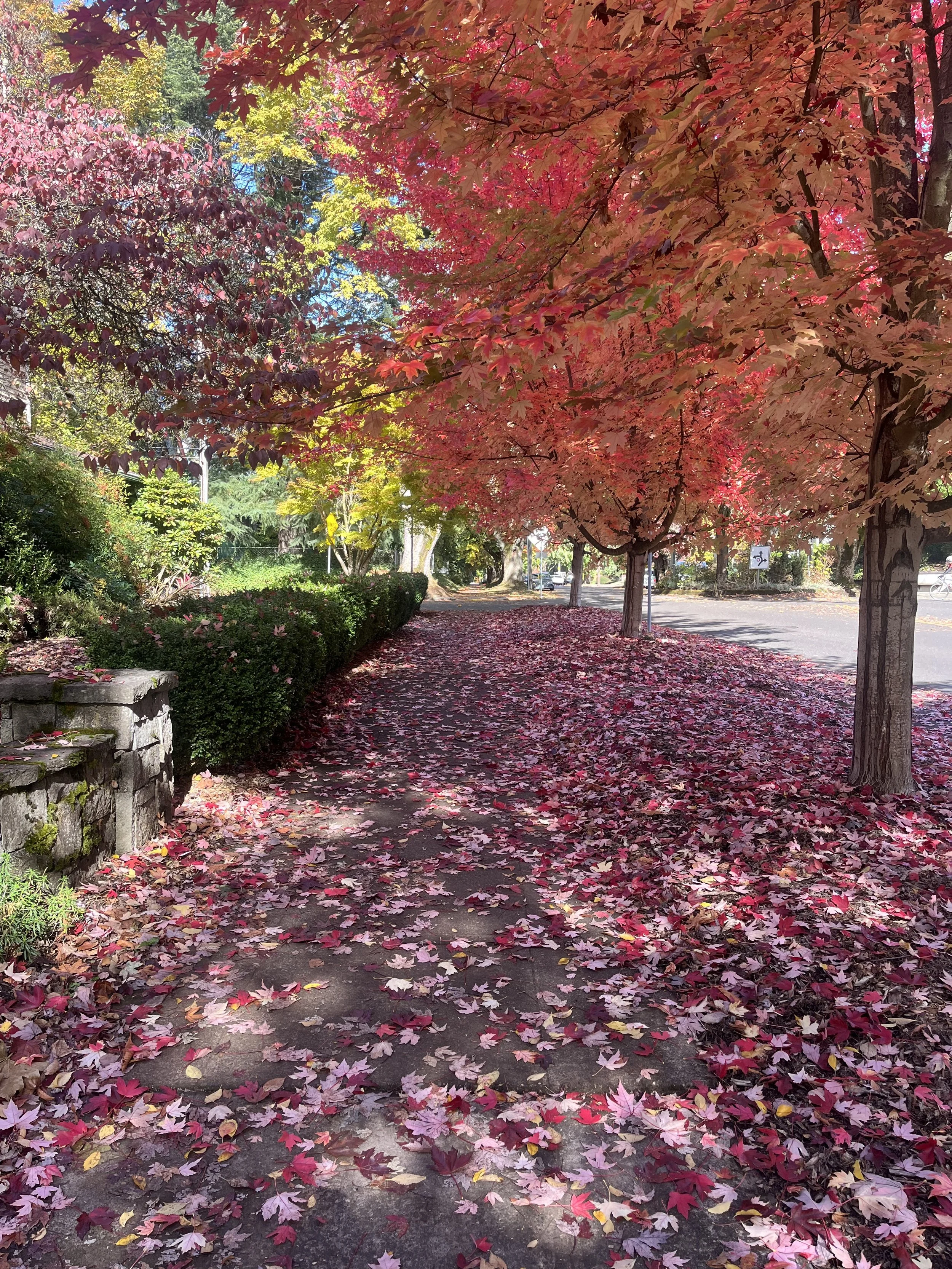 End-of-Life Conversations and Compassionate Communication