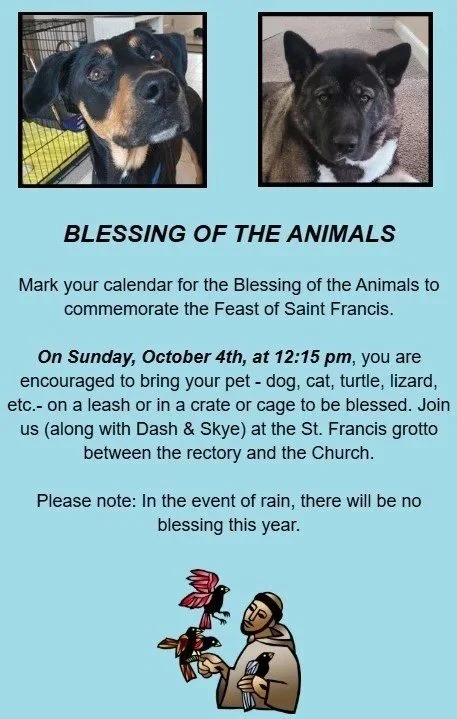 Blessing of the Animals