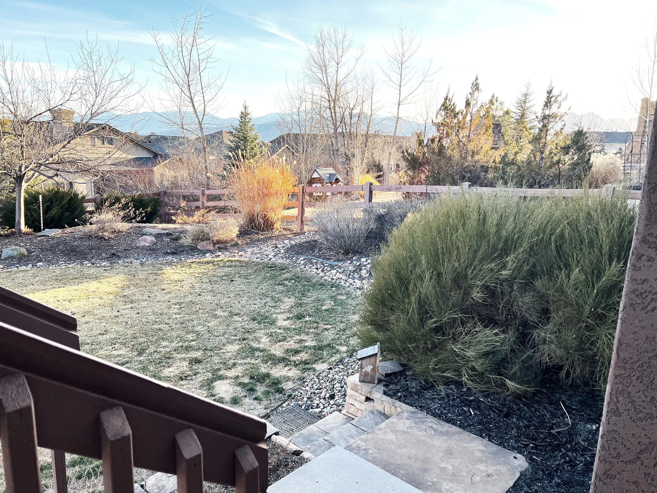 View of a backyard with a patchy lawn, bushes, trees, and a wooden fence, with mountains in the distance under a partly cloudy sky.