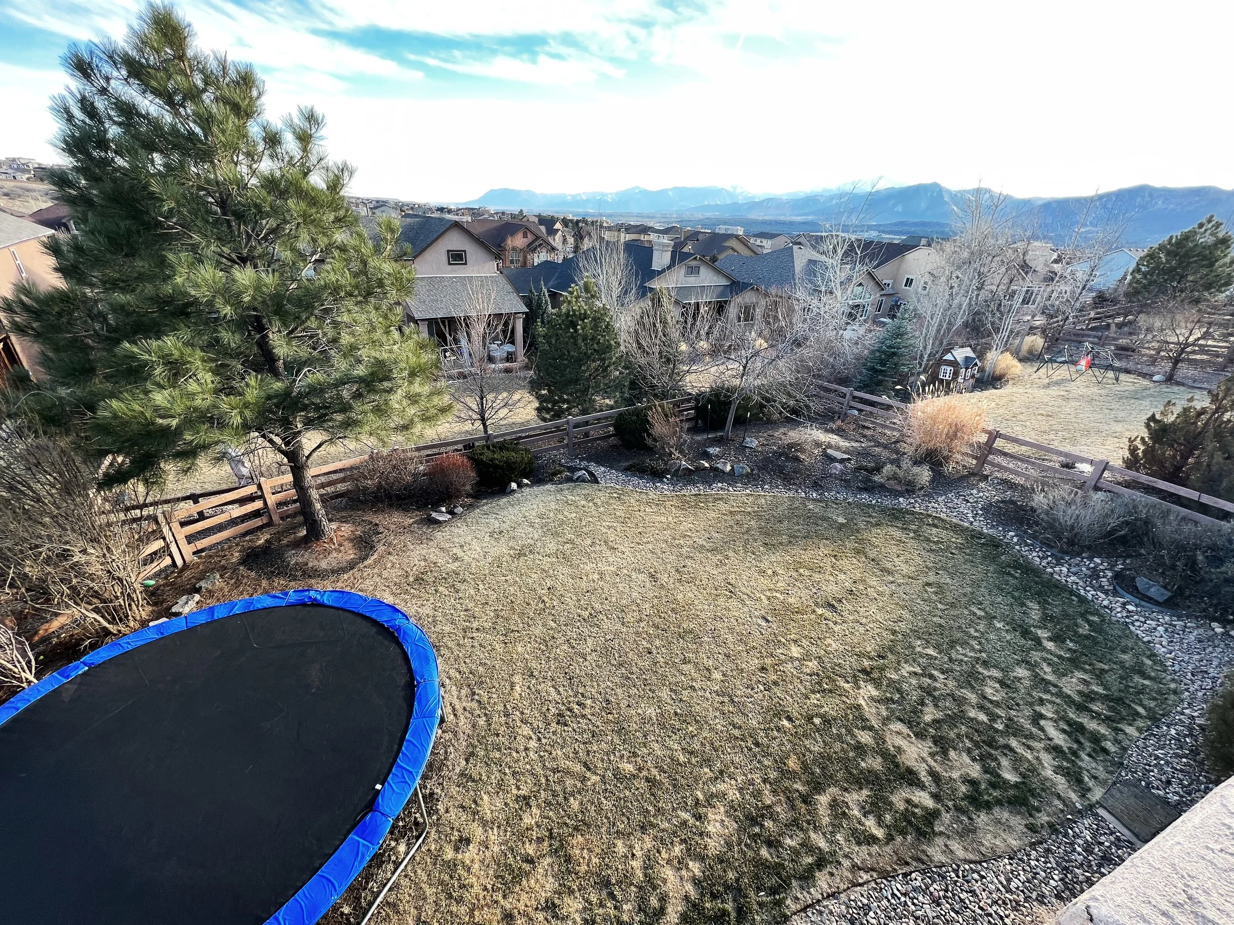 Backyard with a trampoline, trees, a rock garden, and mountain range in the distance.